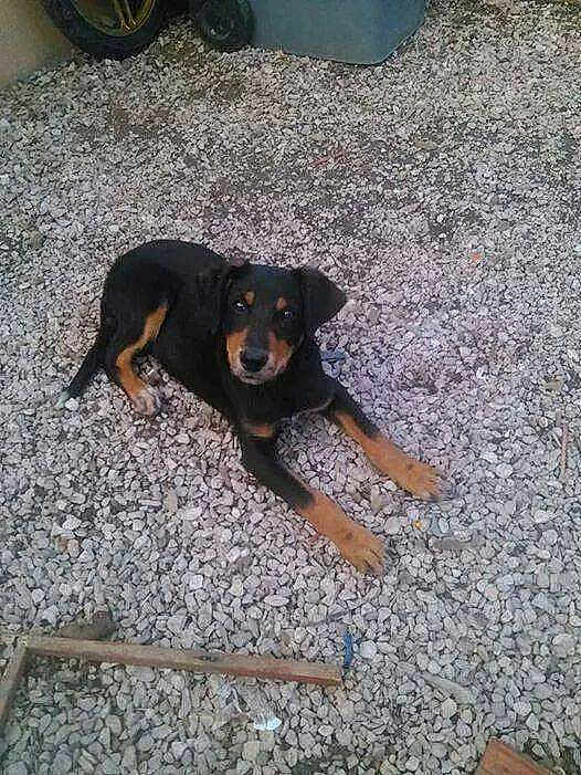 Diego