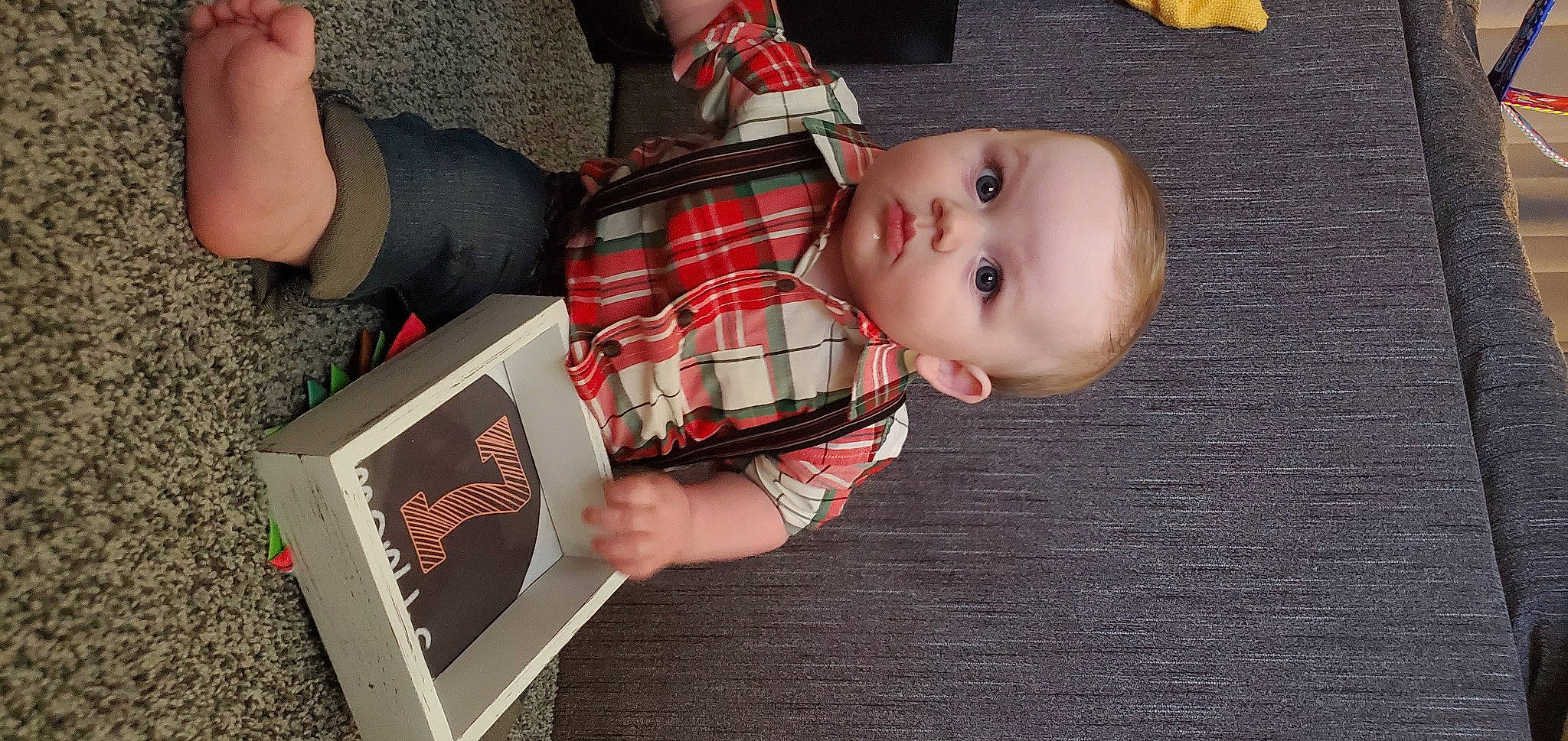 Lee is registered to the contest to win money with this photo: baby, baby_toddler_clothing, carmine, child, flooring, human_leg, lap, nail, pattern, person, plaid, reading, red, sitting, tartan, toddler, tree, wood, wrist