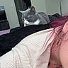 Karma joined the competition — help win amazing prizes! cat, sleeping, bedroom, blanket, person, pink_hair, sweater, indoor, lamp, door, towel, resting, furniture, wall, casual, relaxation, home, cozy, animal, domestic