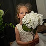 child, girl, flower, white_dress, portrait, indoor, plant, bouquet, face, hands, curly_hair, young, decor, seated, cute, elegant, soft_lighting, tulle, innocence, background