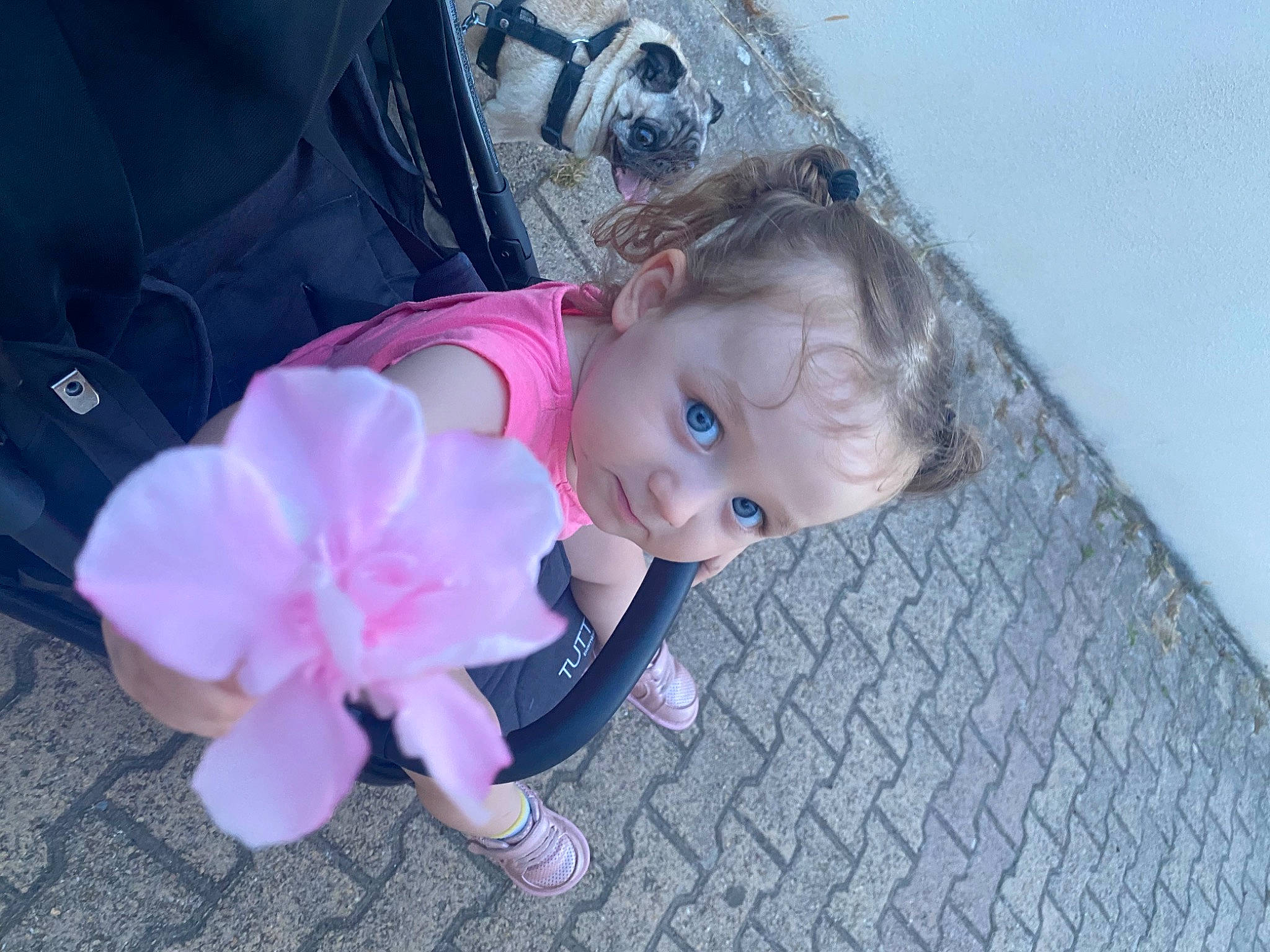 Lola Andréa participe au concours pour gagner de l'argent avec cette photo : baby, baby_products, baby_toddler_clothing, cheek, child, fashion_accessory, foot, fun, grass, happy, leg, magenta, pattern, person, petal, pink, sitting, thumb, toddler