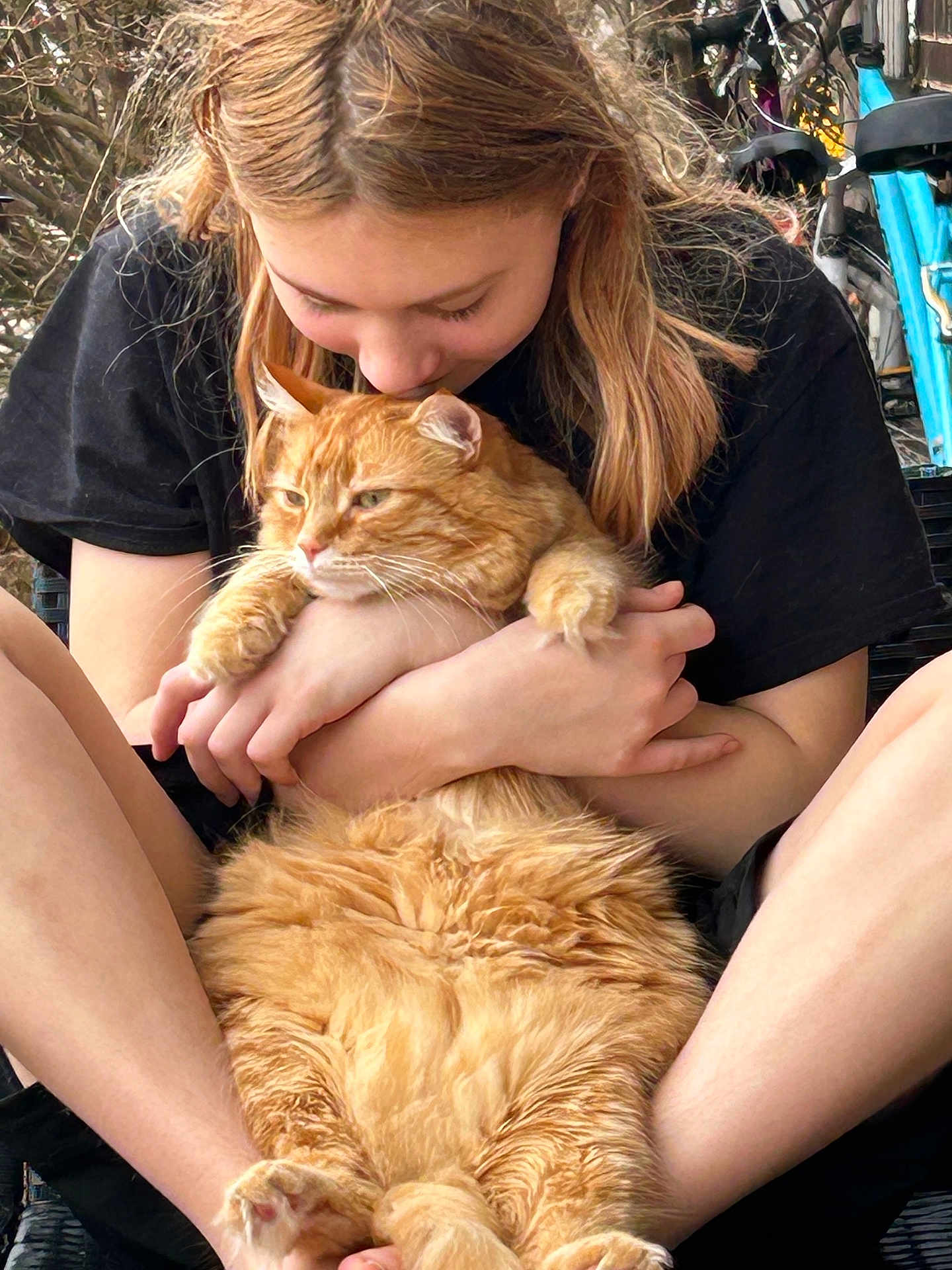 Milo is registered to the contest to win money with this photo: person, cat, orange_cat, fluffy, hugging, affection, outdoor, nature, casual_clothing, black_shirt, legs, hands, pet, cute, relaxed, close_up, warm_lighting, love, animal, human