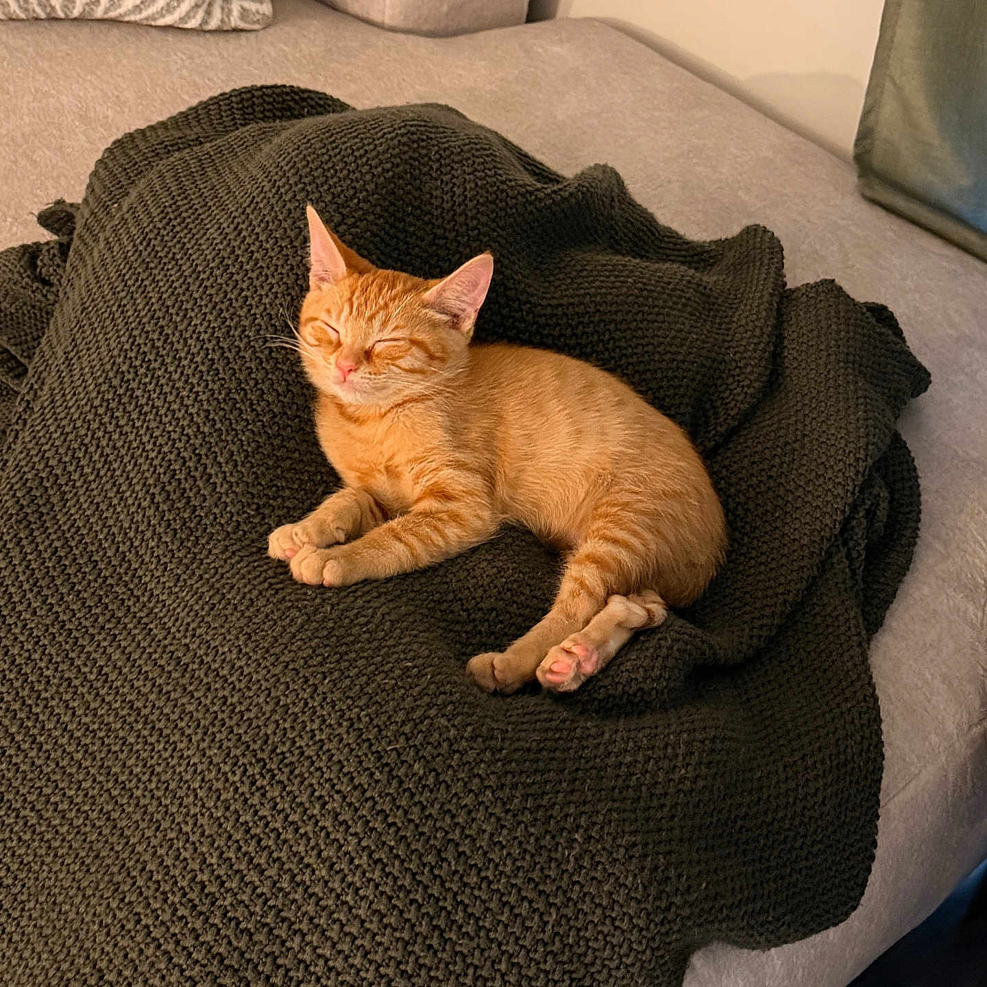 Oliver