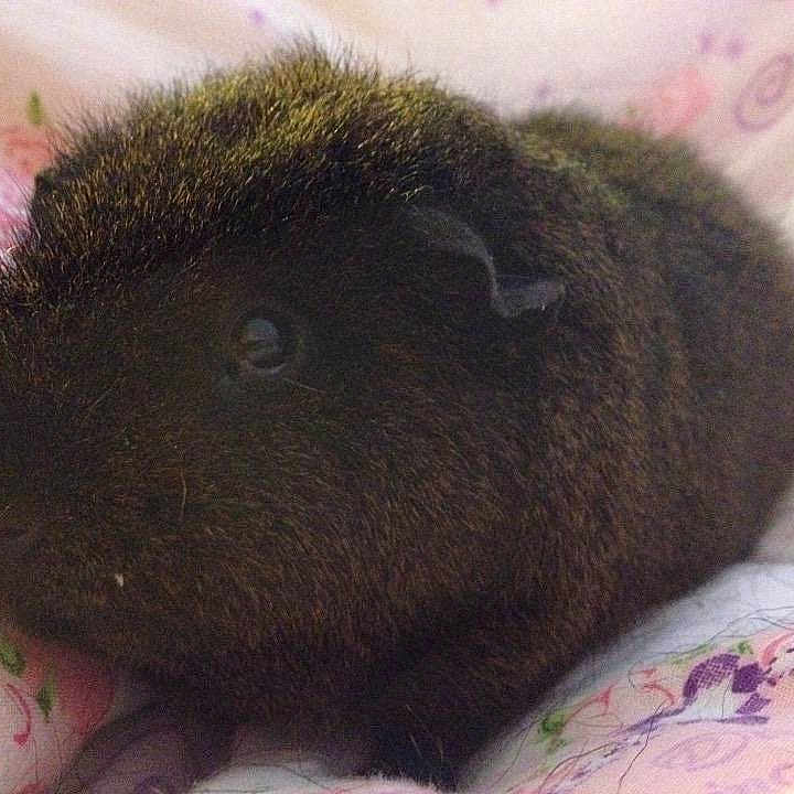 Theodore is registered to the contest to win money with this photo: