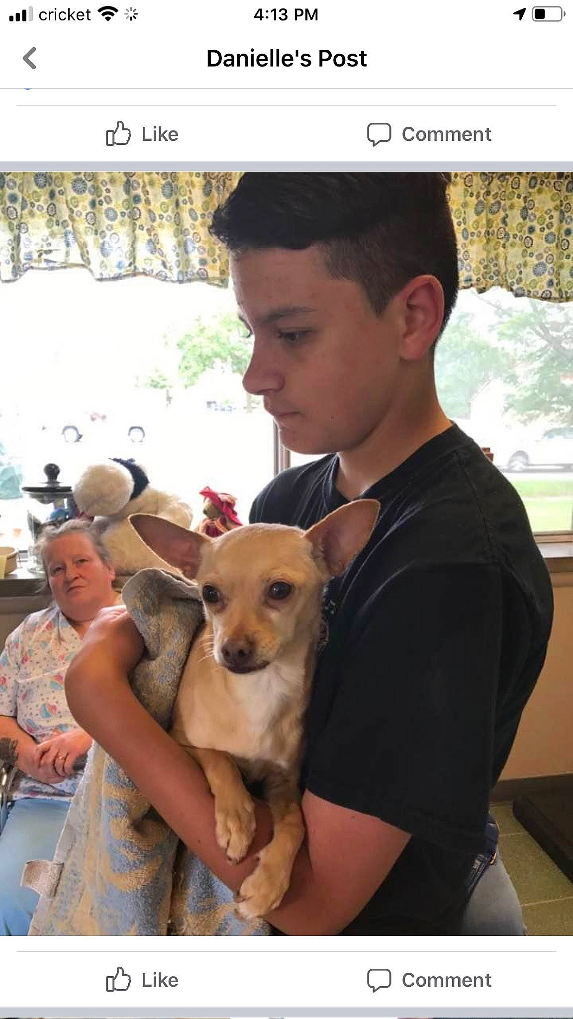 Phinney is registered to the contest to win money with this photo: ancient_dog_breeds, carnivore, companion_dog, dog, dog_breed, eyewear, fawn, fun, gadget, happy, non_sporting_group, photo_caption, photography, puppy_love, screenshot, sitting, sunglasses, t_shirt, toy_dog