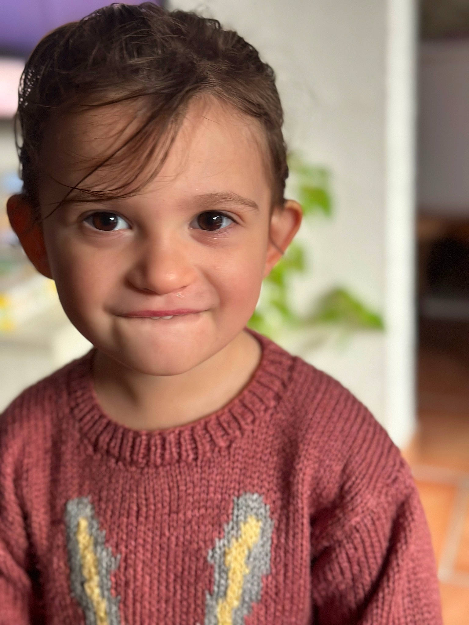 Melody participe au concours pour gagner de l'argent avec cette photo : baby_toddler_clothing, cheek, child, dress, eyelash, flash_photography, hair, happy, iris, joy, lip, nose, pattern, person, plant, skin, sleeve, smile, toddler, wool