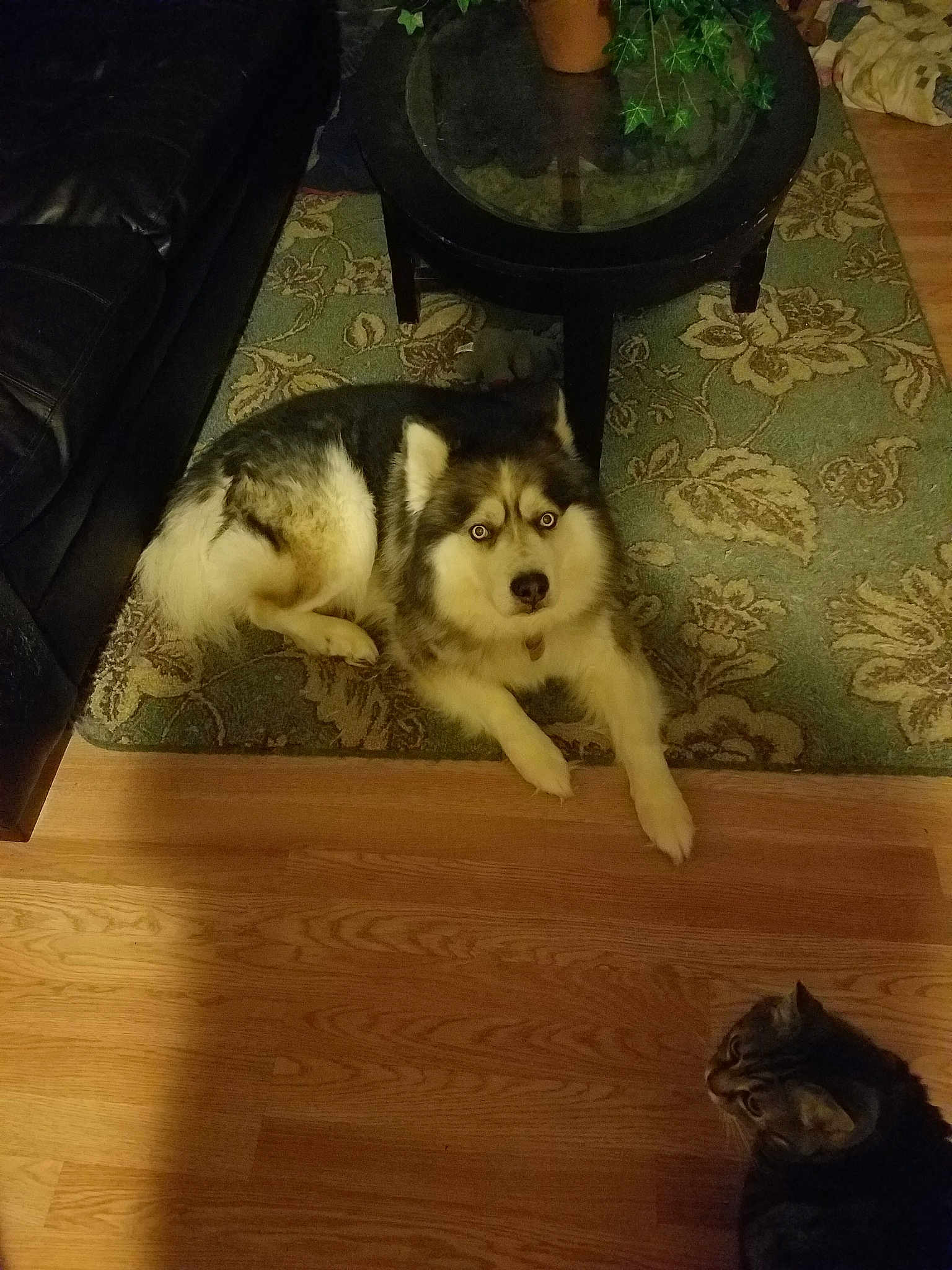 Zero