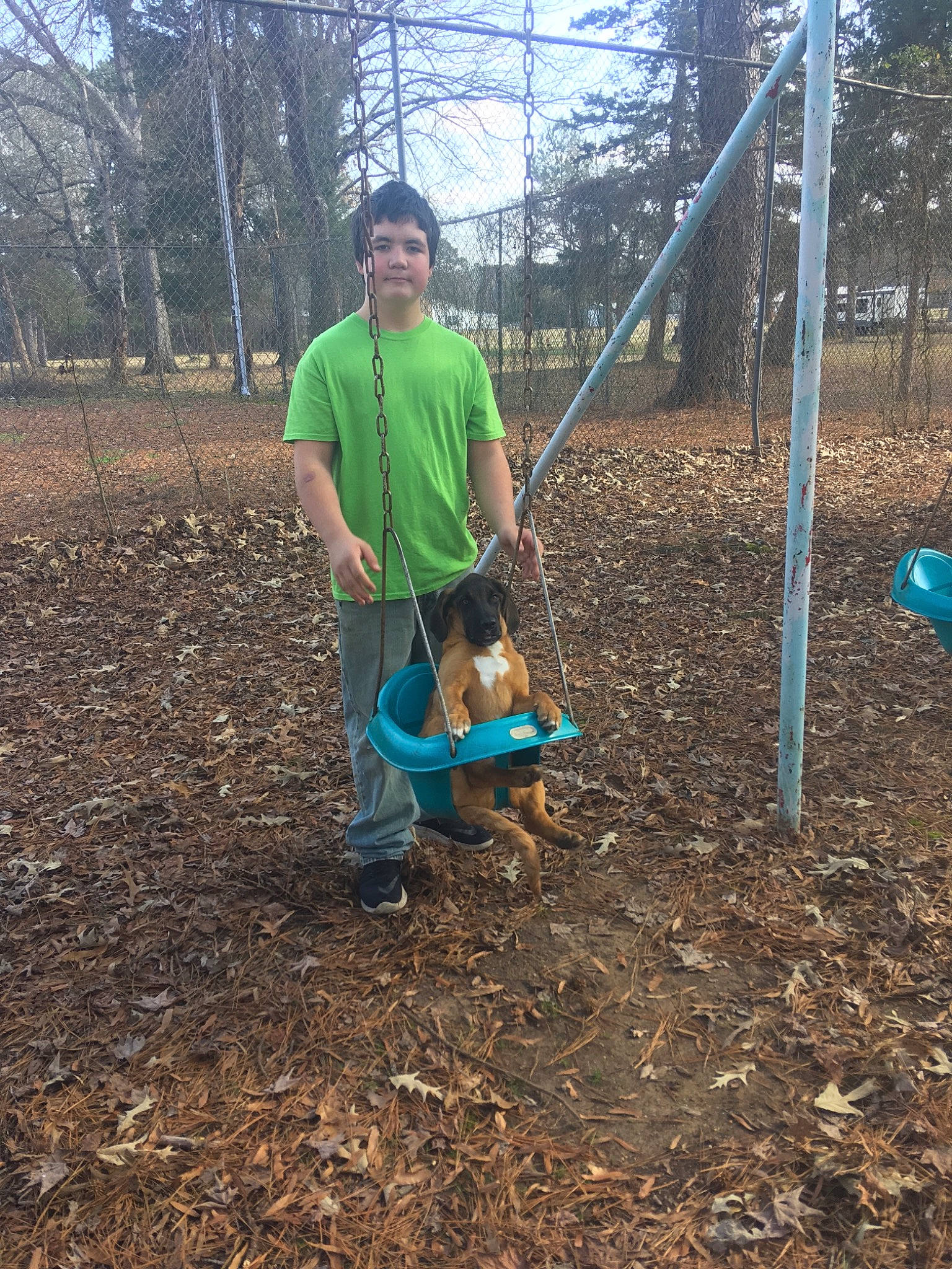 Buck is registered to the contest to win money with this photo: adaptation, compost, person, plant, play, soil, tree