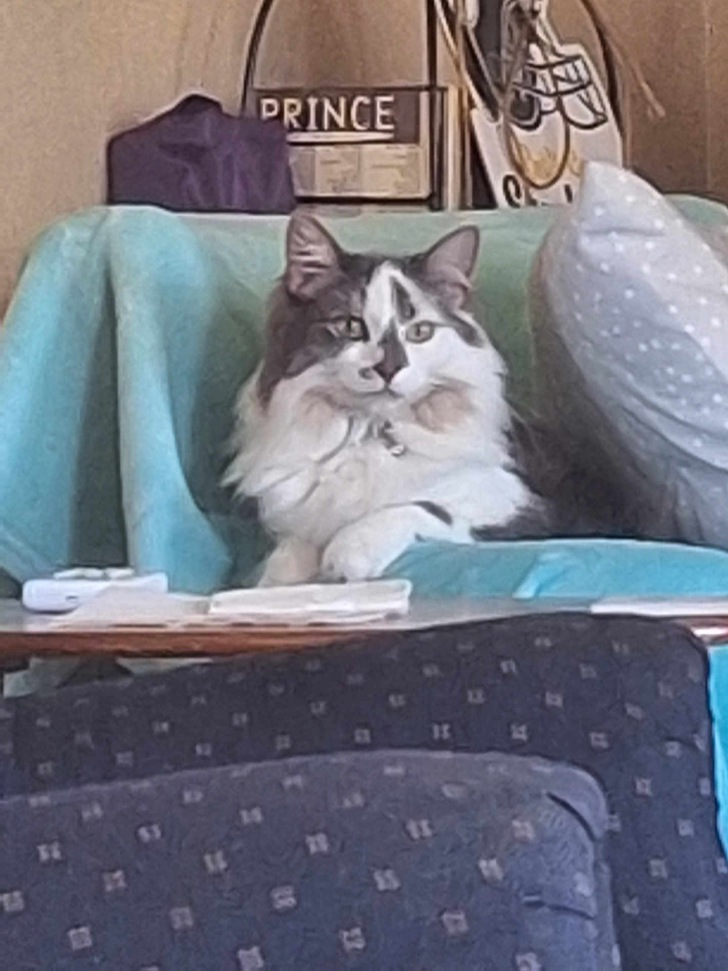 Eliza