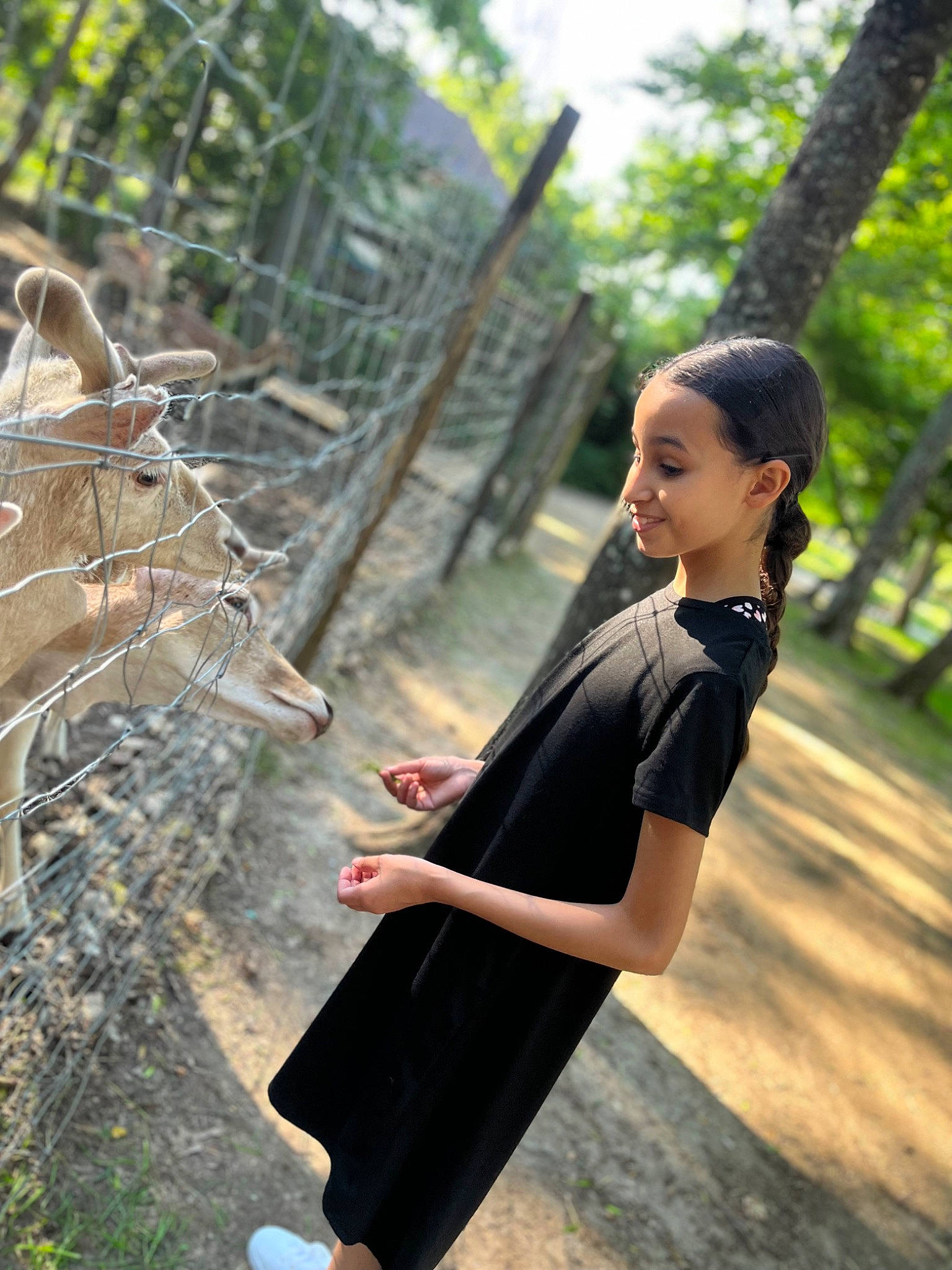 Shaïma participe au concours pour gagner de l'argent avec cette photo : black_hair, branch, fashion, flash_photography, formal_wear, grass, hairstyle, hand, happy, joy, leg, leisure, people_in_nature, person, plant, shoulder, sleeve, street_fashion, thigh, tree