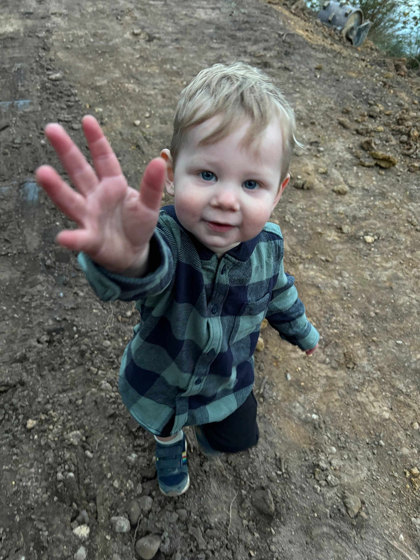 Tate is registered to the contest to win money with this photo: child, toddler, boy, outdoor, dirt, path, blue_eyes, checkered_shirt, long_sleeve, shoes, reaching_hand, curious, young, smiling, standing, nature, casual_clothing, portrait, daylight, playful