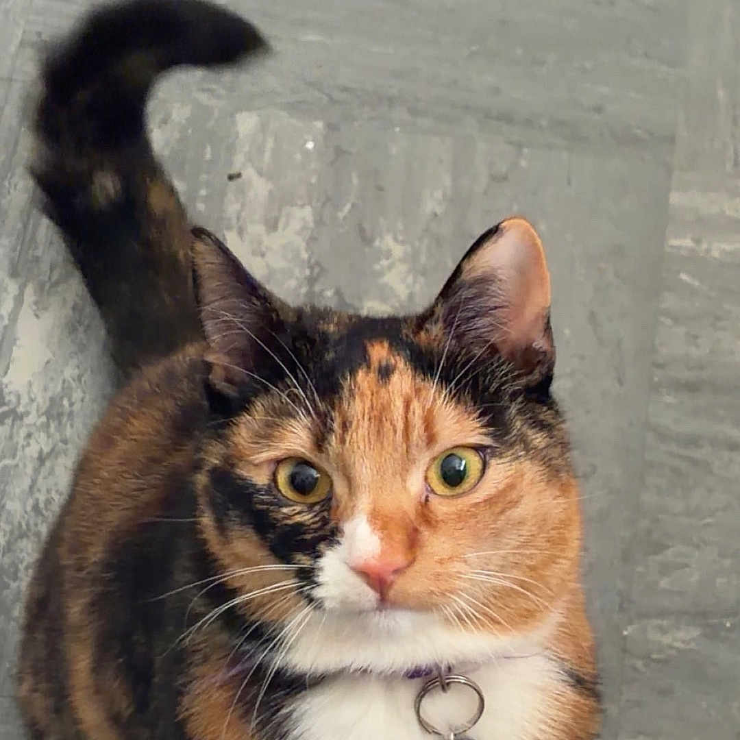 Yuka