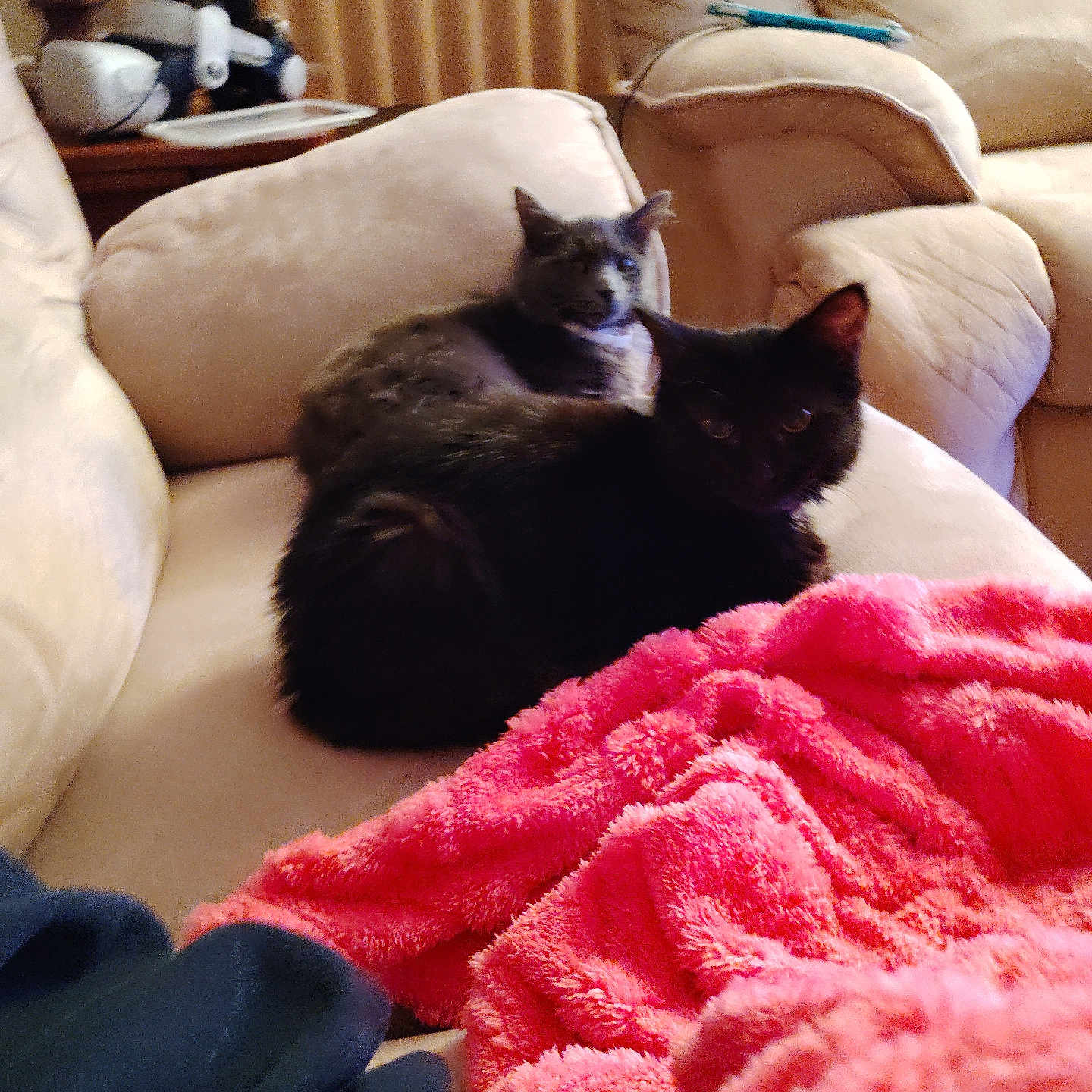 Sisters