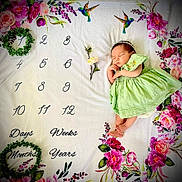 Scarlett joined the competition — help win amazing prizes! baby, sleeping, green_dress, floral_blanket, flowers, numbers, milestone, hummingbird, peaceful, newborn, infant, cute, portrait, laying_down, decorative, blanket, pink_flowers, headband, small_baby, soft