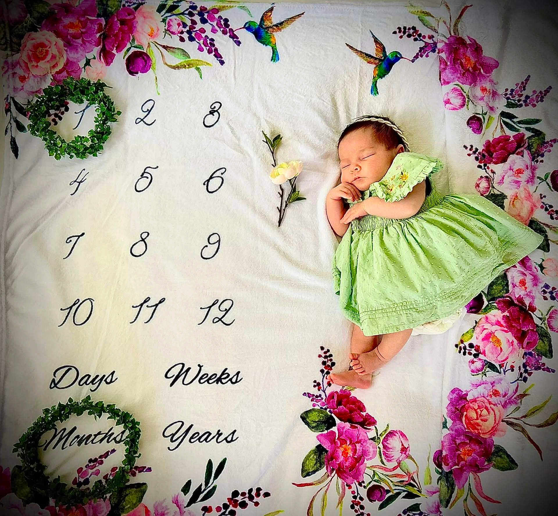 Scarlett joined the competition — help win amazing prizes! baby, sleeping, green_dress, floral_blanket, flowers, numbers, milestone, hummingbird, peaceful, newborn, infant, cute, portrait, laying_down, decorative, blanket, pink_flowers, headband, small_baby, soft