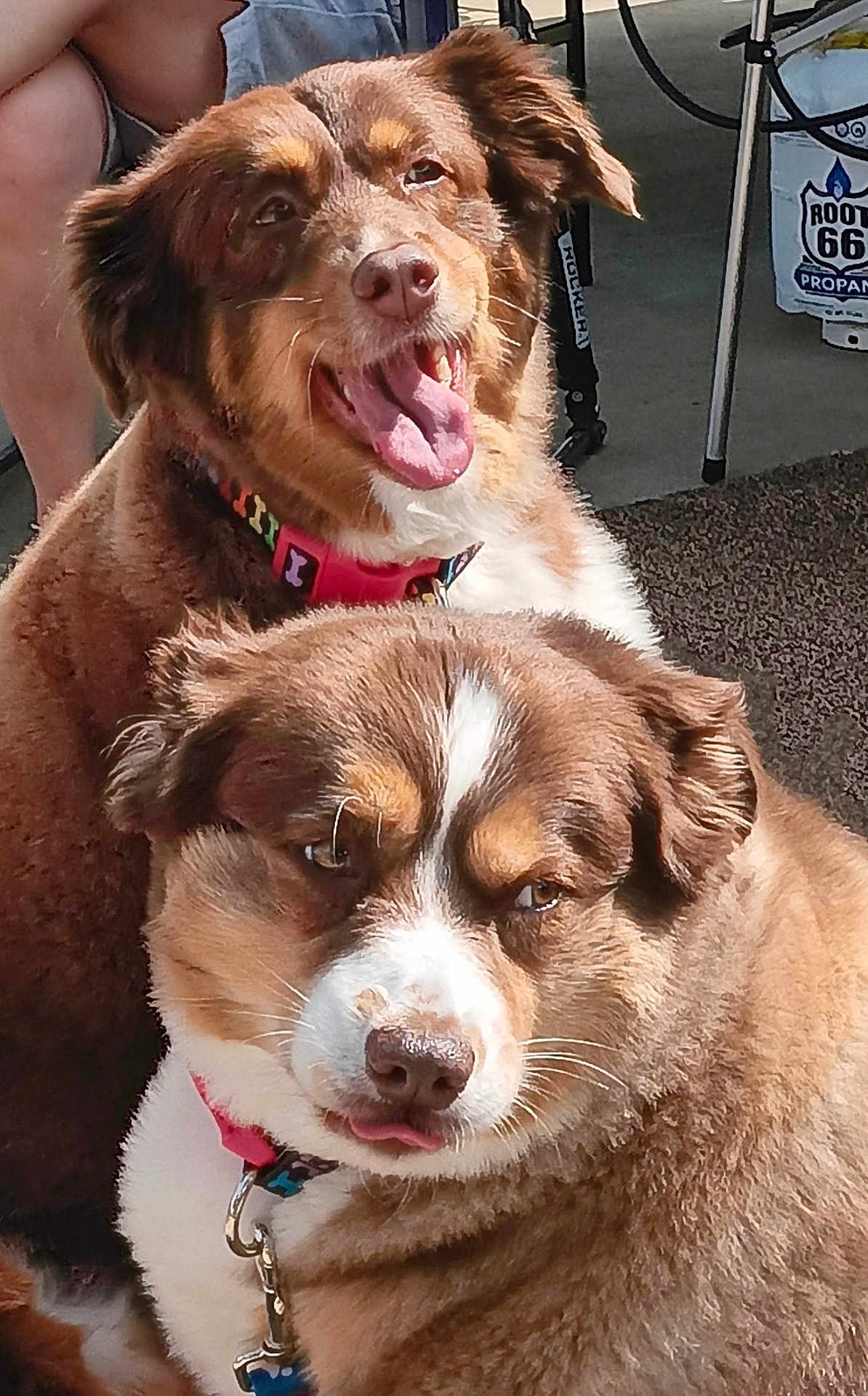 Lily And Ellie