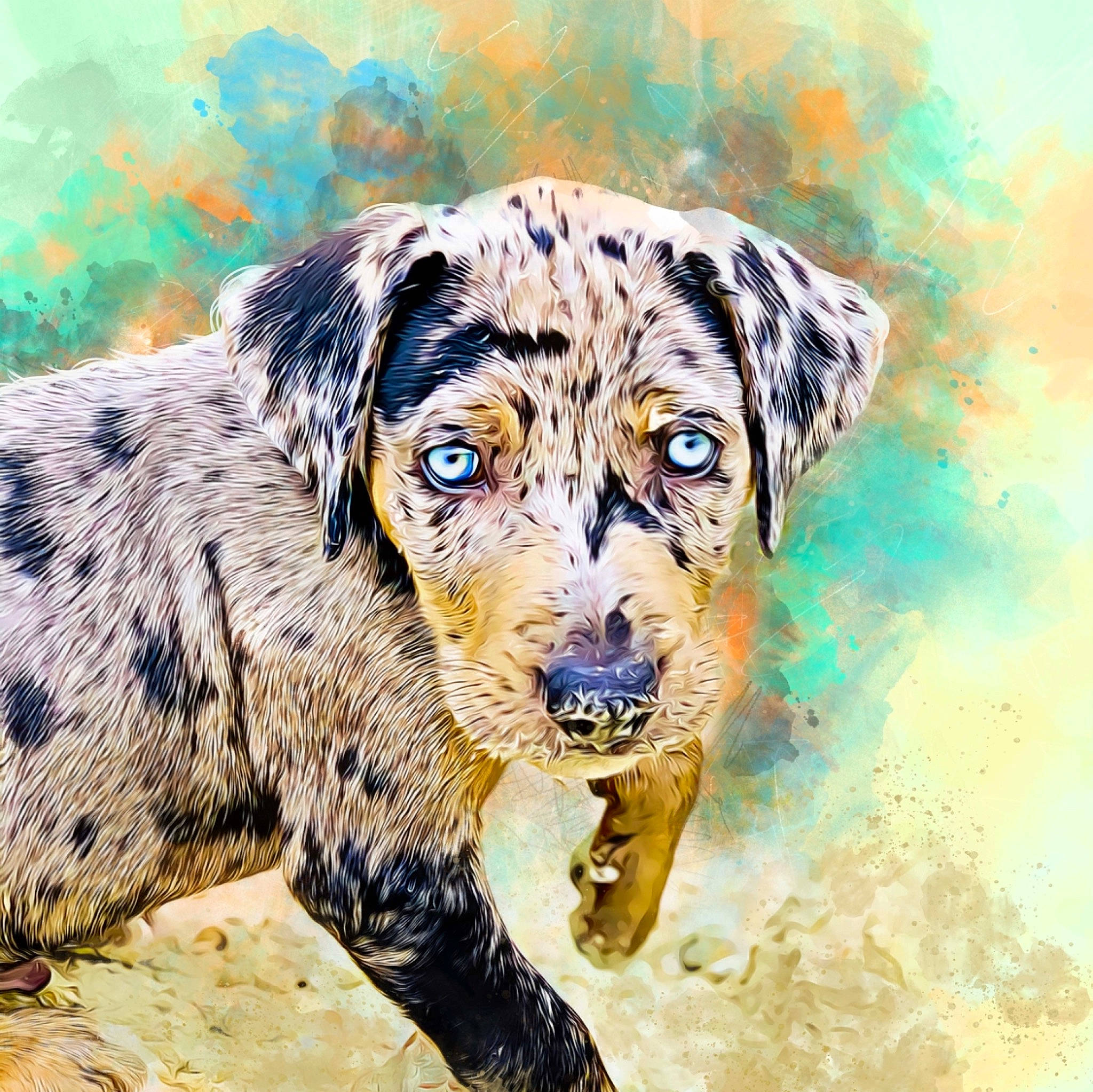 Chopper joined the competition — help win amazing prizes! art, canidae, carnivore, companion_dog, dog, dog_breed, drawing, fur, guard_dog, illustration, paint, painting, snout, sporting_group, terrestrial_animal, water, watercolor_paint, whiskers, wildlife, working_animal