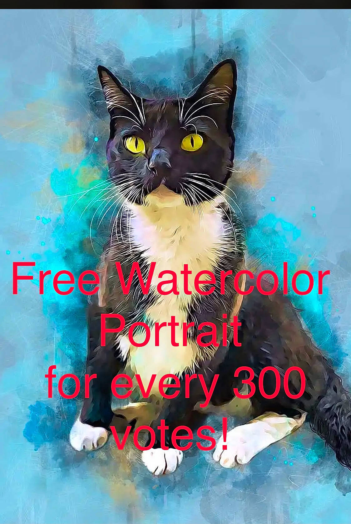 Sylvester is registered to the contest to win money with this photo: advertising, art, carnivore, cat, electric_blue, felidae, font, graphics, happy, illustration, internet_meme, organism, painting, photo_caption, poster, small_to_medium_sized_cats, snout, tail, visual_arts, whiskers