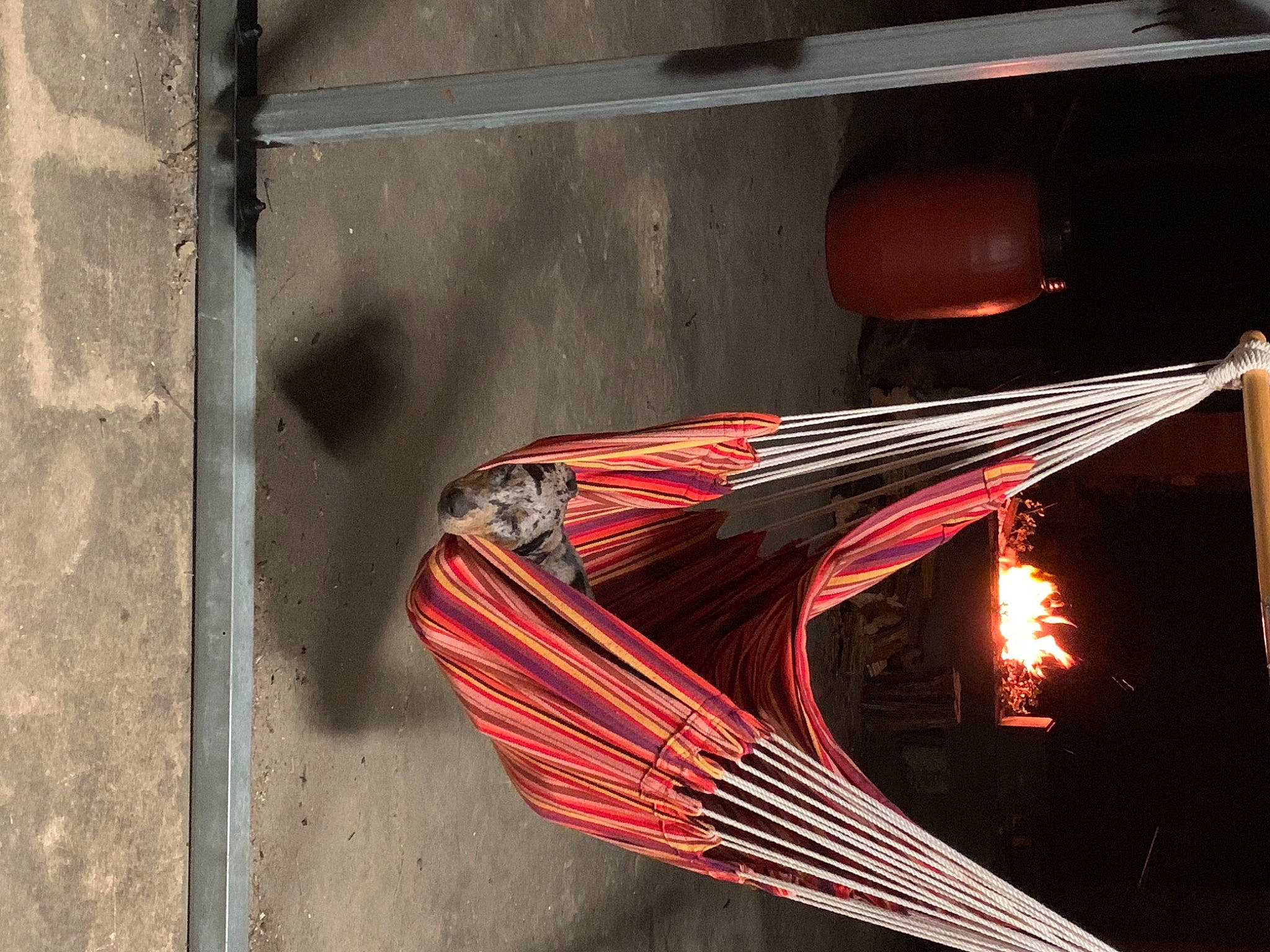 Chops joined the competition — help win amazing prizes! art, automotive_design, automotive_lighting, carmine, chair, concrete, coquelicot, glass, line, metal, rectangle, red, still_life_photography, string_instrument, tail, tints_and_shades, tool, vehicle_door, wire, wood