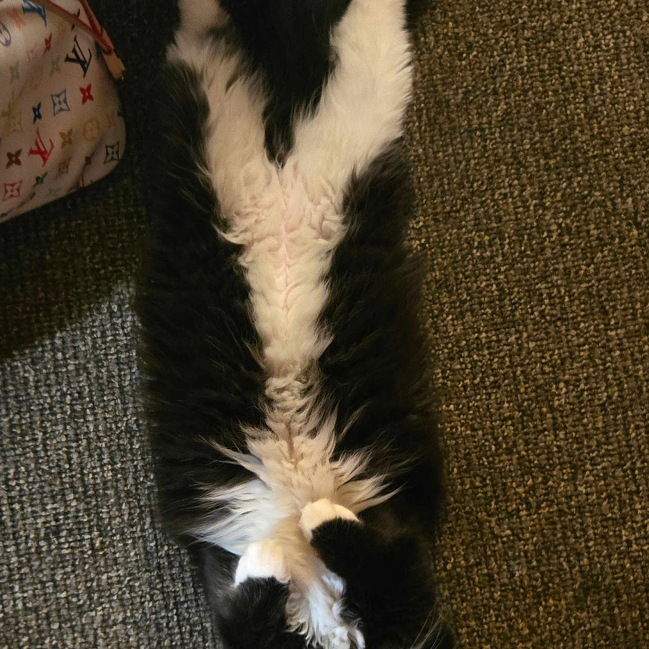 Snicklefritz