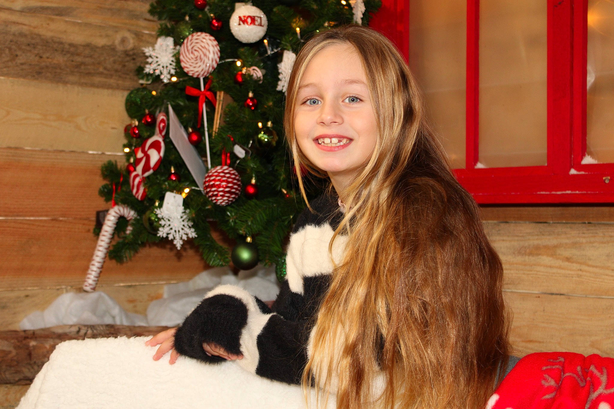 Erika participe au concours pour gagner de l'argent avec cette photo : christmas, christmas_decoration, christmas_eve, christmas_ornament, christmas_tree, companion_dog, event, fun, hairstyle, happy, holiday, holiday_ornament, joy, lap, long_hair, mammal, ornament, person, red, smile