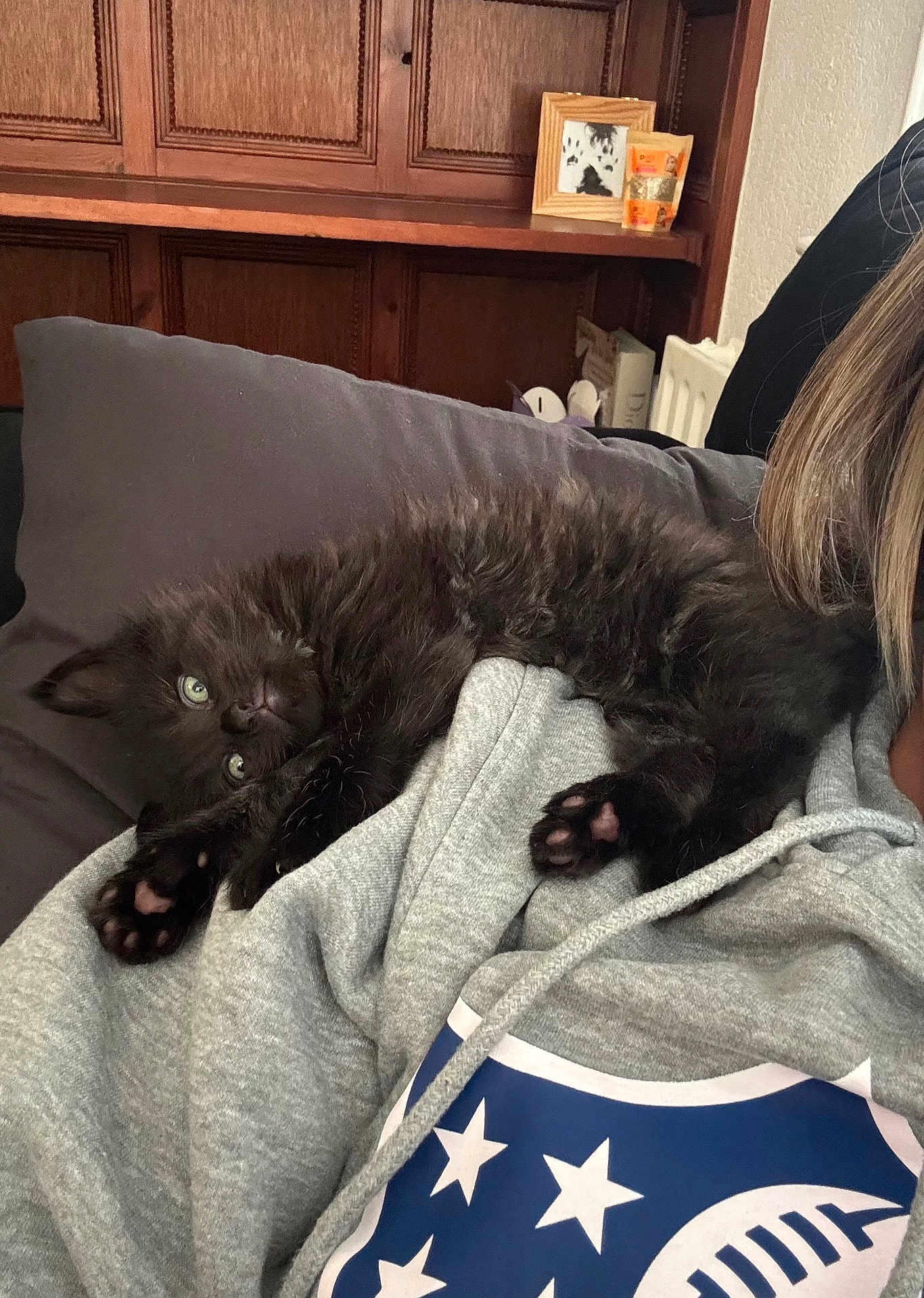 Avan joined the competition — help win amazing prizes! kitten, black_cat, pet, animal, sleeping, cozy, indoor, couch, clothing, hoodie, person, relaxing, paw, face, furniture, wooden_cabinet, green_eyes, cute, fluffy, comfort