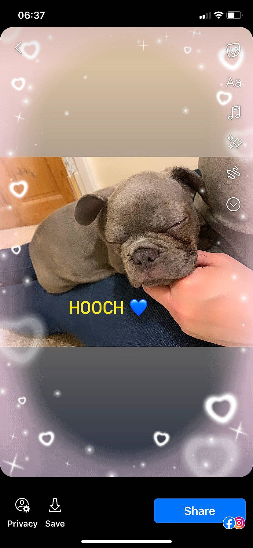 Hooch joined the competition — help win amazing prizes! comfort, companion_dog, fawn, font, fur, gesture, grey, organism, personal_protective_equipment, photo_caption, screenshot, sculpture, snout, terrestrial_animal, toy_dog, wrinkle