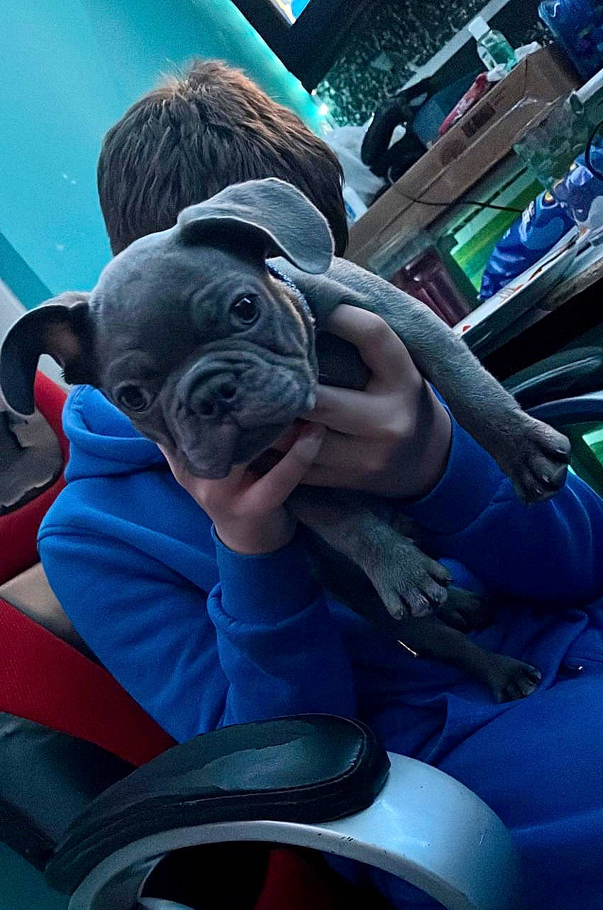 Hooch is registered to the contest to win money with this photo: auto_part, automotive_design, automotive_exterior, automotive_wheel_system, blue, bumper, car_seat, cool, electric_blue, eyewear, family_car, fun, leisure, motor_vehicle, personal_protective_equipment, recreation, steering_wheel, sunglasses, travel, vehicle_door