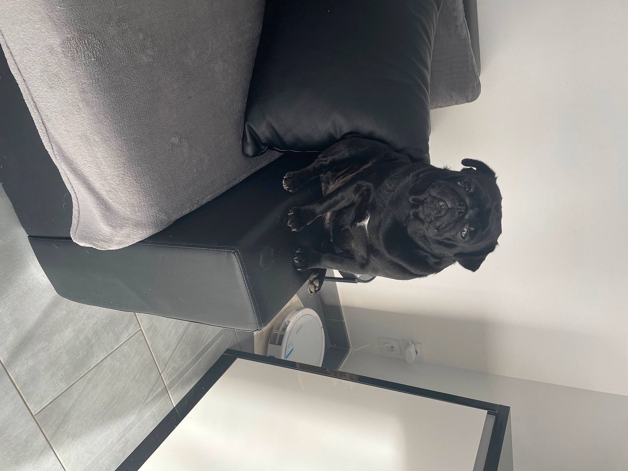 Raïley a rejoint le concours — aidez-le/la à gagner de superbes lots ! arm, art, auto_part, automotive_design, carmine, elbow, flash_photography, hand, human_body, human_leg, knee, leg, monochrome, monochrome_photography, room, shadow, sleeve, still_life_photography, tints_and_shades, wrist