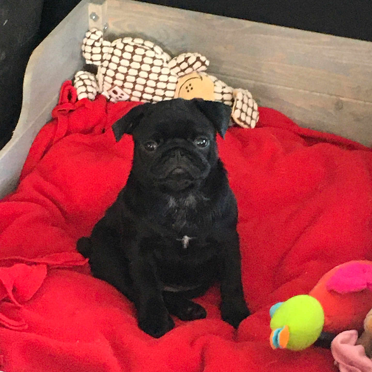 Raïley
