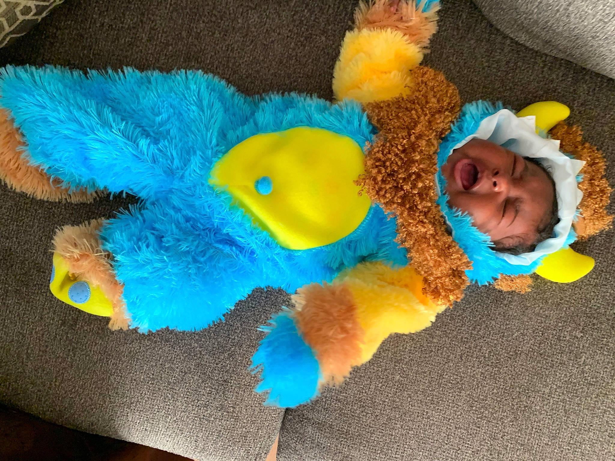 Samirya joined the competition — help win amazing prizes! azure, baby_toys, beak, electric_blue, fashion_accessory, feather, fun, fur, macaw, natural_material, person, plastic, plush, product, smile, stuffed_toy, tail, toddler, toy, wing