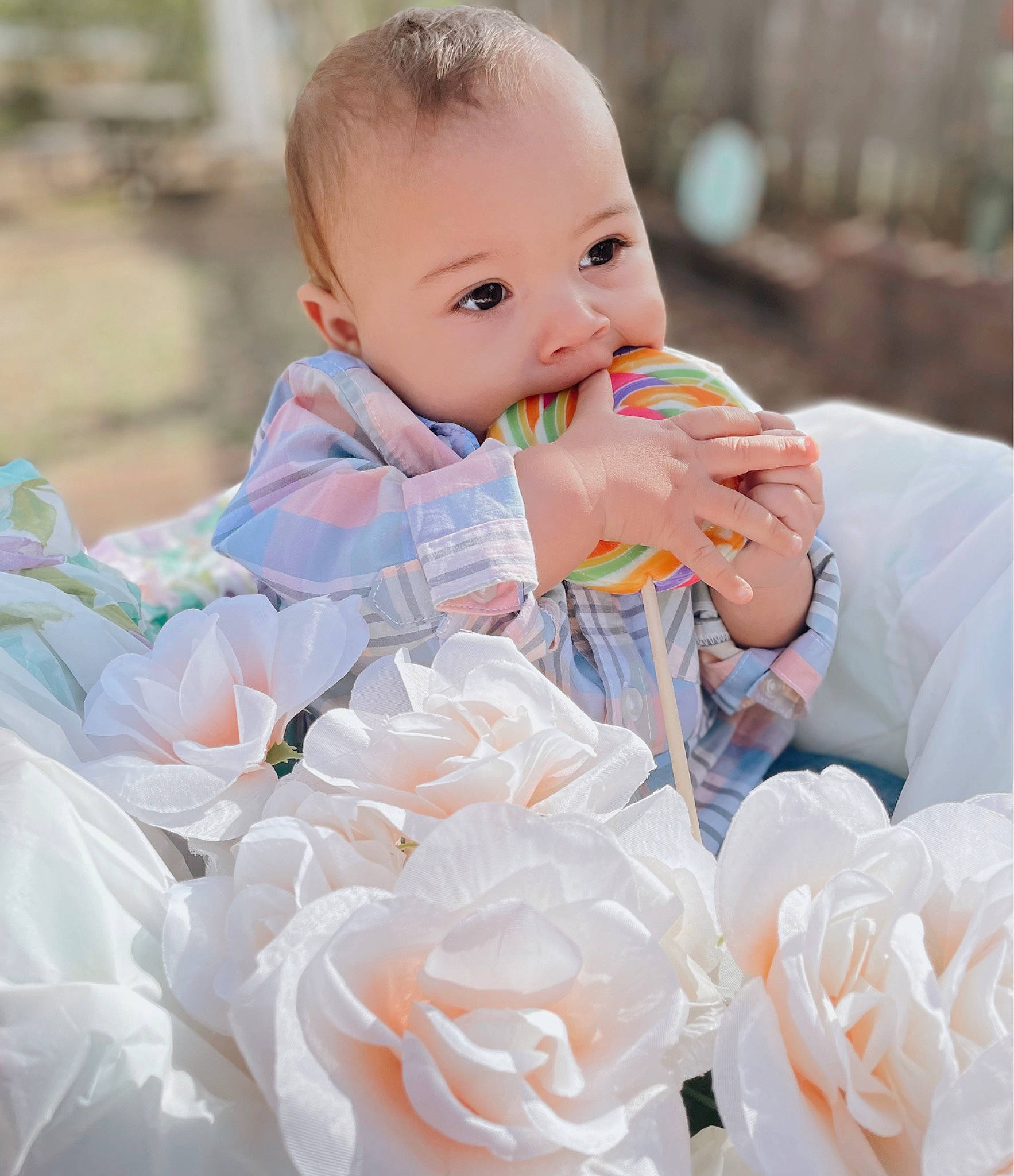 Kash joined the competition — help win amazing prizes! baby, baby_products, baby_toddler_clothing, bouquet, child, dress, drinkware, event, flower, flower_arranging, happy, hybrid_tea_rose, person, petal, pink, plant, rose, rose_family, toddler, wedding_ceremony_supply