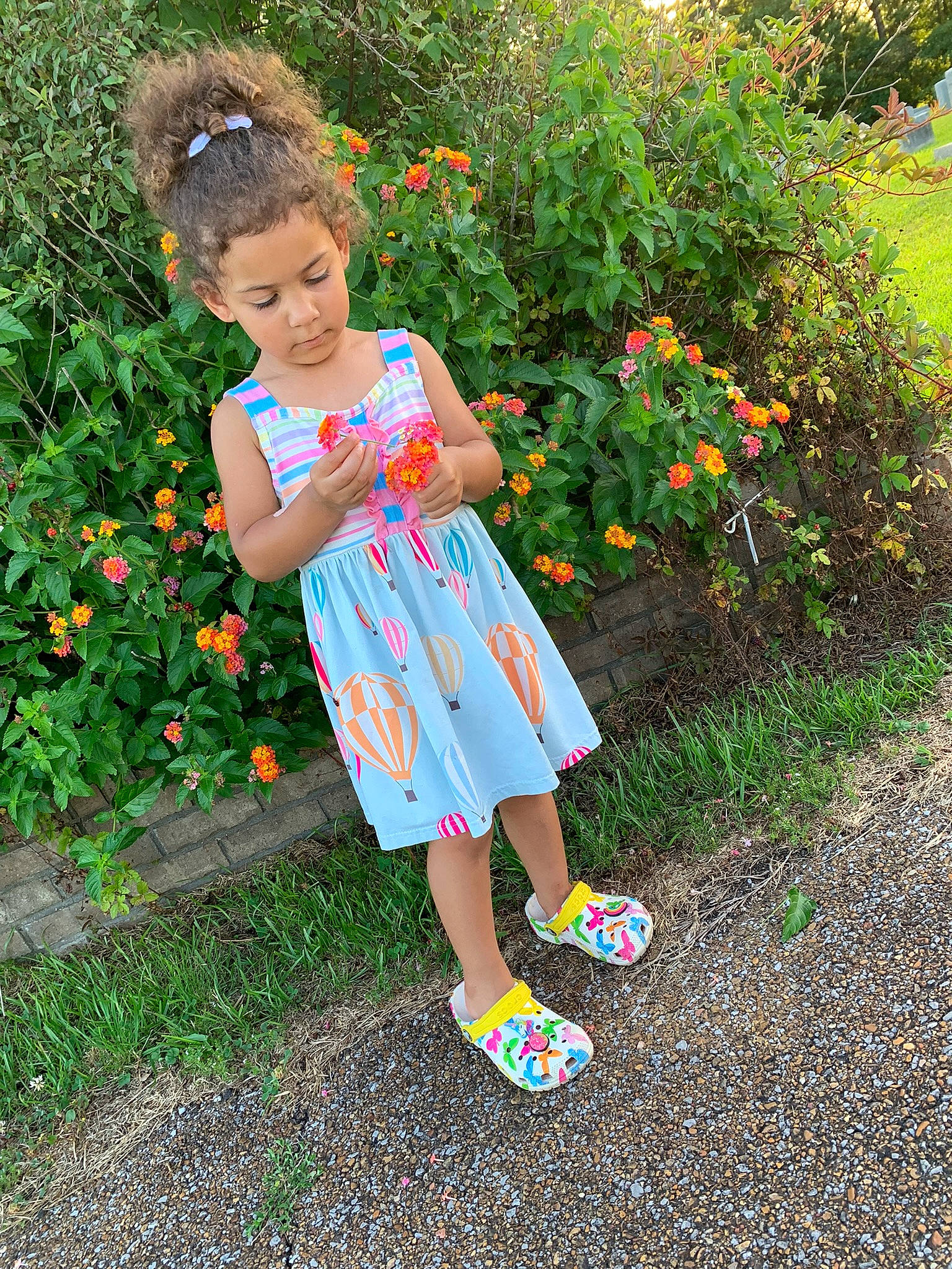 Kaydence is registered to the contest to win money with this photo: annual_plant, baby_toddler_clothing, child, day_dress, flower, flowering_plant, fun, grass, grass_family, groundcover, happy, human_leg, meadow, orange, people_in_nature, person, petal, plant, shrub, standing