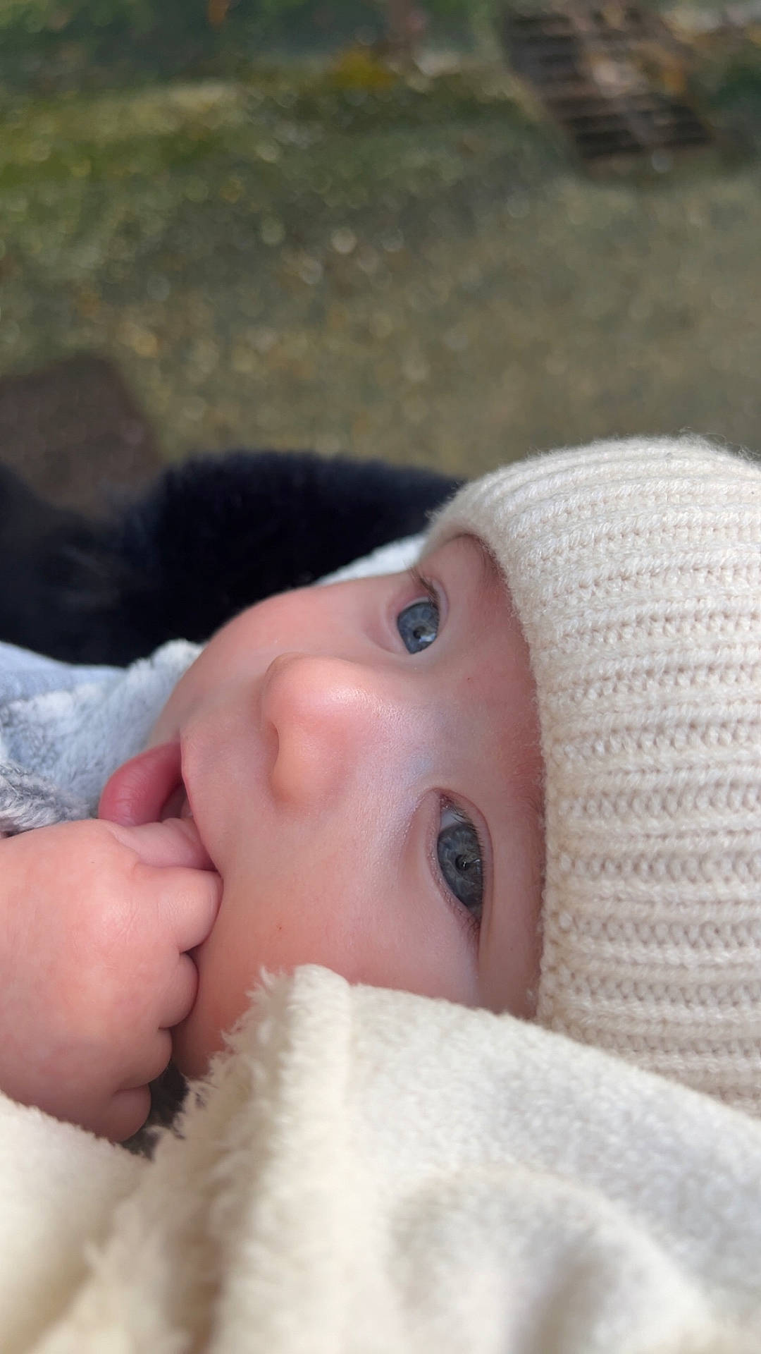 Maël a rejoint le concours — aidez-le/la à gagner de superbes lots ! baby, beanie, blanket, bodypart, bonnet, cap, clothing, face, finger, hand, hat, head, hood, knitwear, newborn, person, photography, portrait, sweater, towel