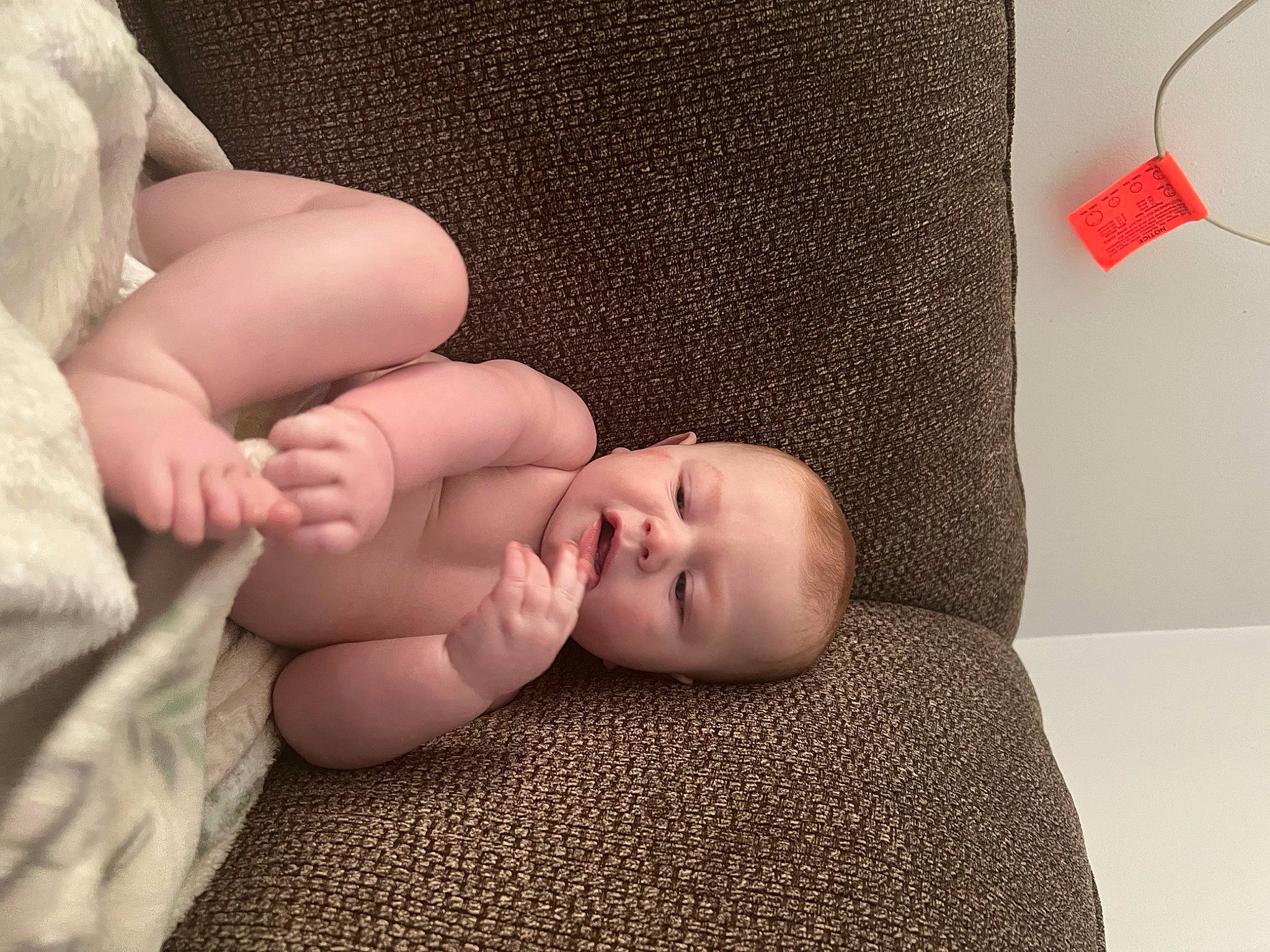 Alaric joined the competition — help win amazing prizes! arm, baby, baby_toddler_clothing, cheek, comfort, eye, finger, gesture, hand, head, human_body, lip, nail, neck, person, skin, stomach, textile, thumb, toddler