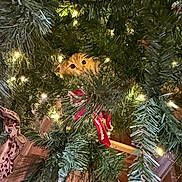 Sunny is registered to the contest to win money with this photo: cat, christmas_tree, holiday_lights, greenery, decorations, orange_cat, curious, peeking, indoors, festive, twinkling_lights, pine_branches, hiding, wooden_floor, ornament, seasonal, holiday, cute, pet, feline