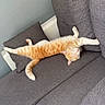 cat, orange_cat, sleeping, stretching, couch, gray_couch, pillow, indoor, relaxed, pet, feline, fur, whiskers, paw, tail, home, cozy, resting, animal, domestic_animal