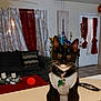 Macho Vargas is registered to the contest to win money with this photo: animal, cat, collar, couch, curtains, decor, door, floor, furniture, glasses, indoor, living_room, pet, plant, sweater, table, tile_floor, toy, tuxedo_cat, whiskers