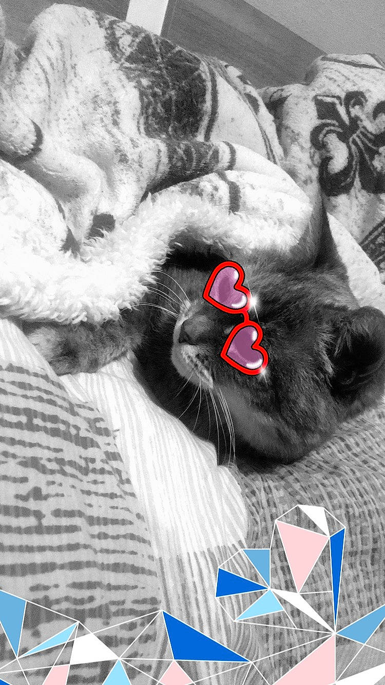 Doudoune a rejoint le concours — aidez-le/la à gagner de superbes lots ! art, beard, canidae, carmine, felidae, fictional_character, flesh, font, fur, gesture, graphic_design, illustration, love, monochrome_photography, paw, photo_caption, romance, snout, whiskers, white