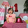baby, child, birthday, first_birthday, crown, pink_dress, strawberry, balloon, number_one, tent, inflatable_flower, checkered_cloth, smiling, happy, indoor, plant, decorations, celebration, person, festive