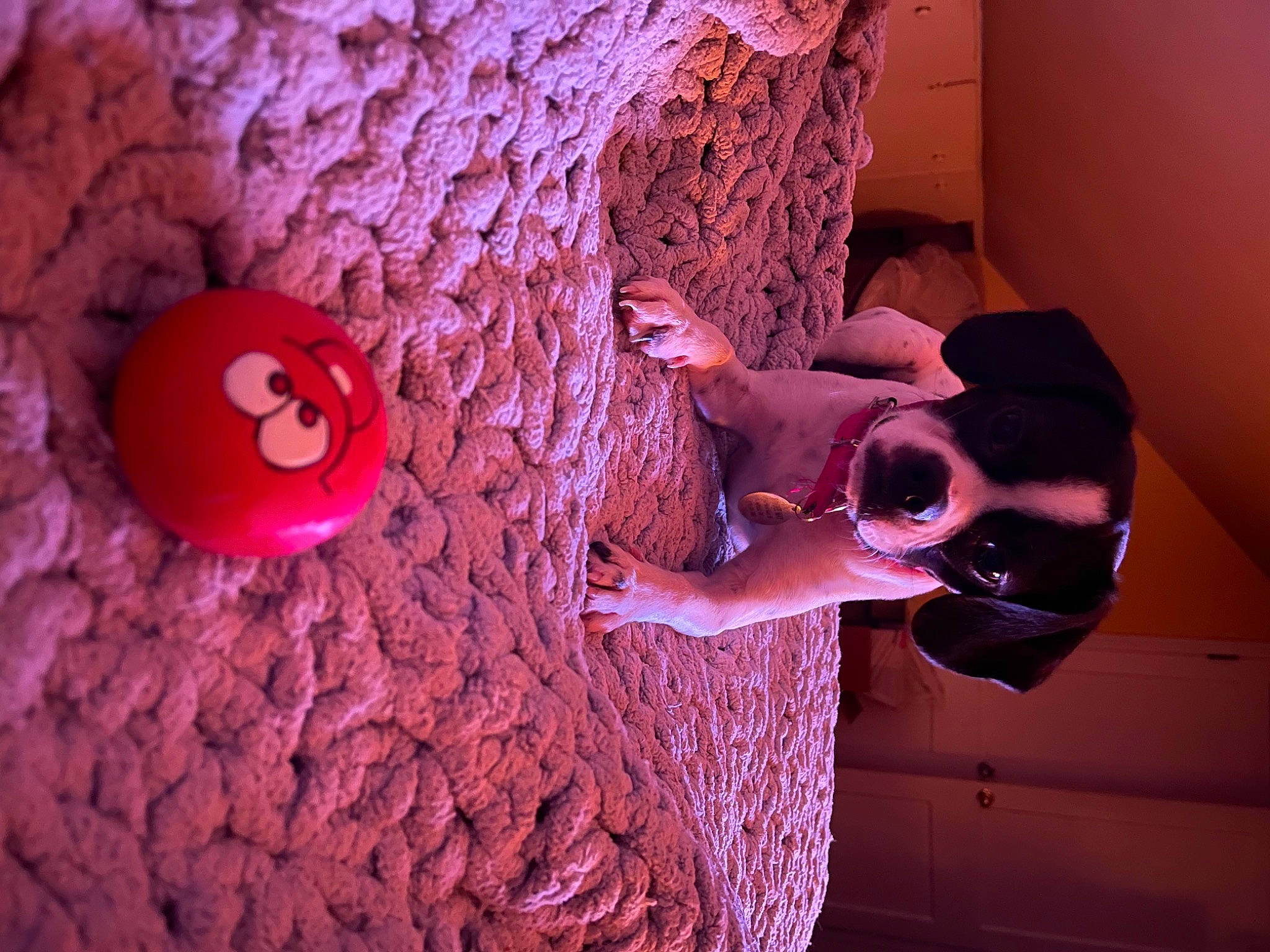 Saydee May joined the competition — help win amazing prizes! button, coquelicot, goggles, magenta, peach, pink, purple, sunglasses