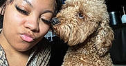 Coco joined the competition — help win amazing prizes! affection, animal, brown_dog, casual_clothing, closeup, curly_hair, cute, dog, expression, face, friendship, furry, home, indoor, leisure, love, pet, portrait, pout, woman