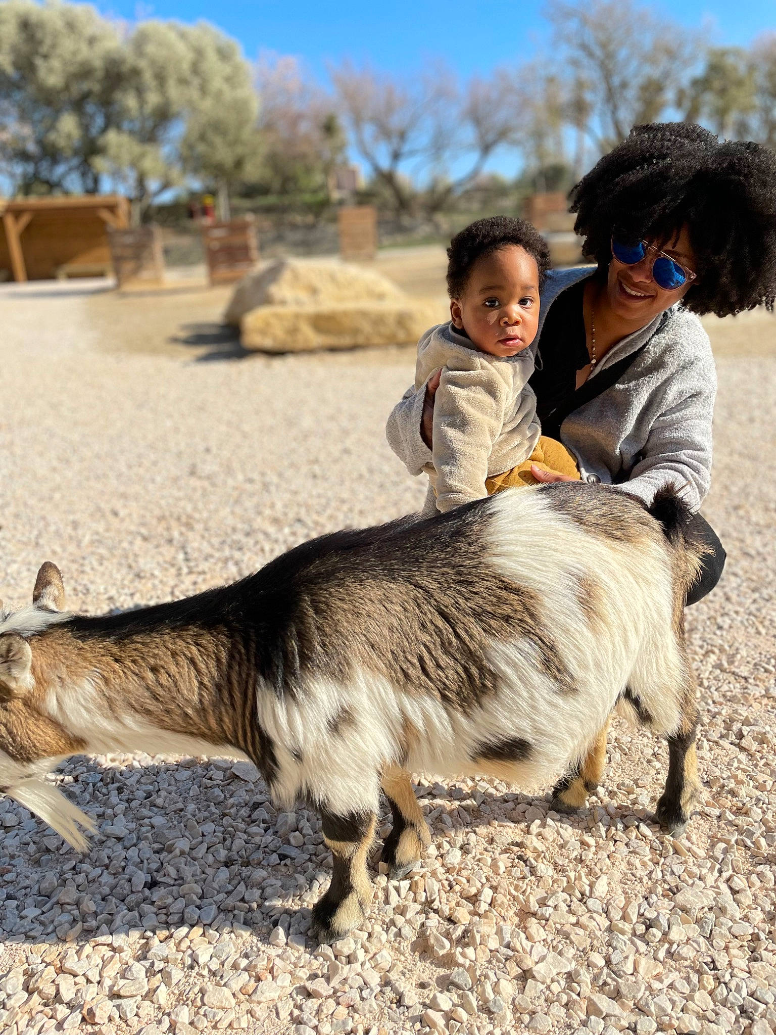 Isaïah a rejoint le concours — aidez-le/la à gagner de superbes lots ! canidae, dog_breed, fawn, fun, fur, goat_antelope, goats, grass, happy, joy, landscape, livestock, person, sand, sky, soil, sporting_group, sunglasses, terrestrial_animal, toddler