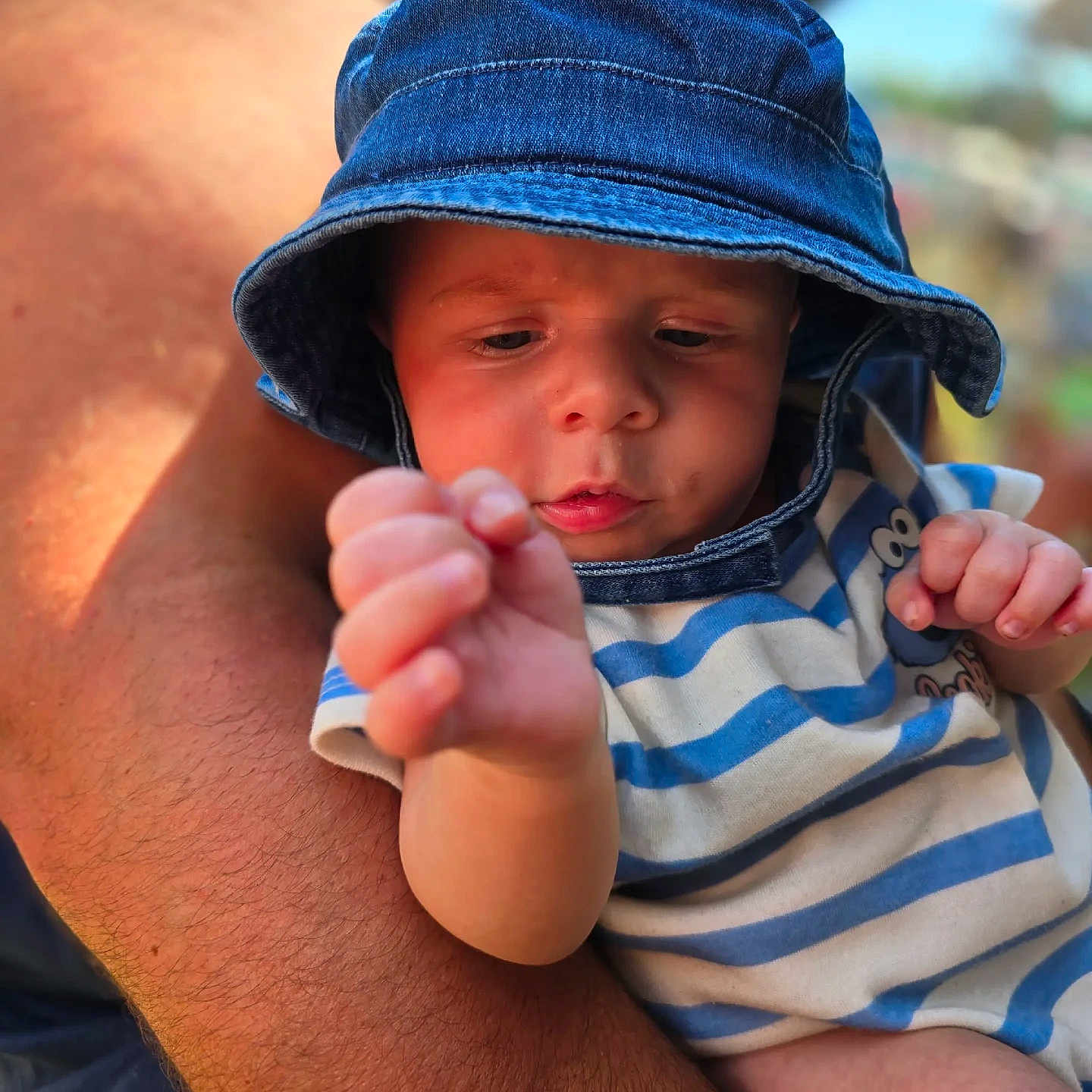 Jaxon
