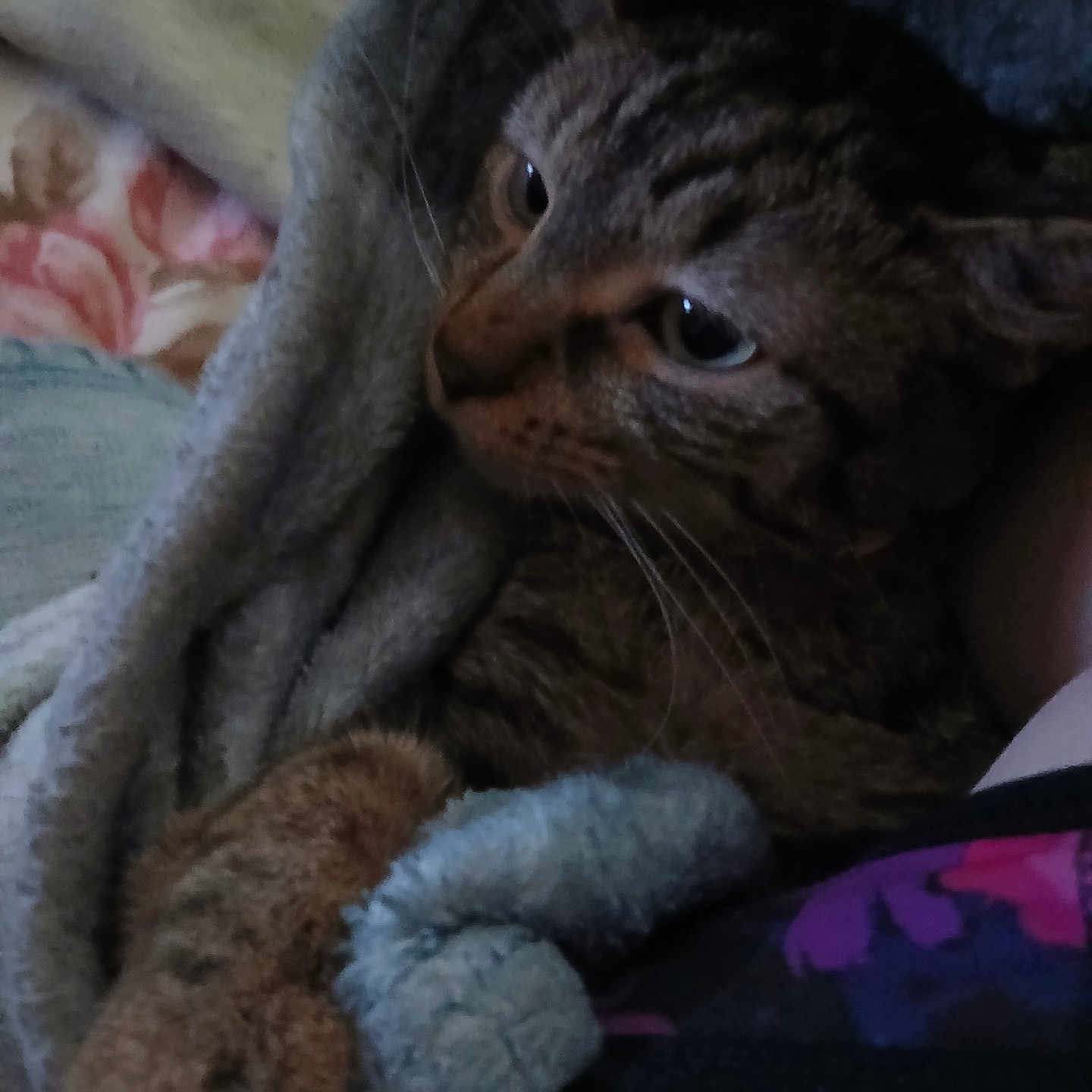 Sweetpea