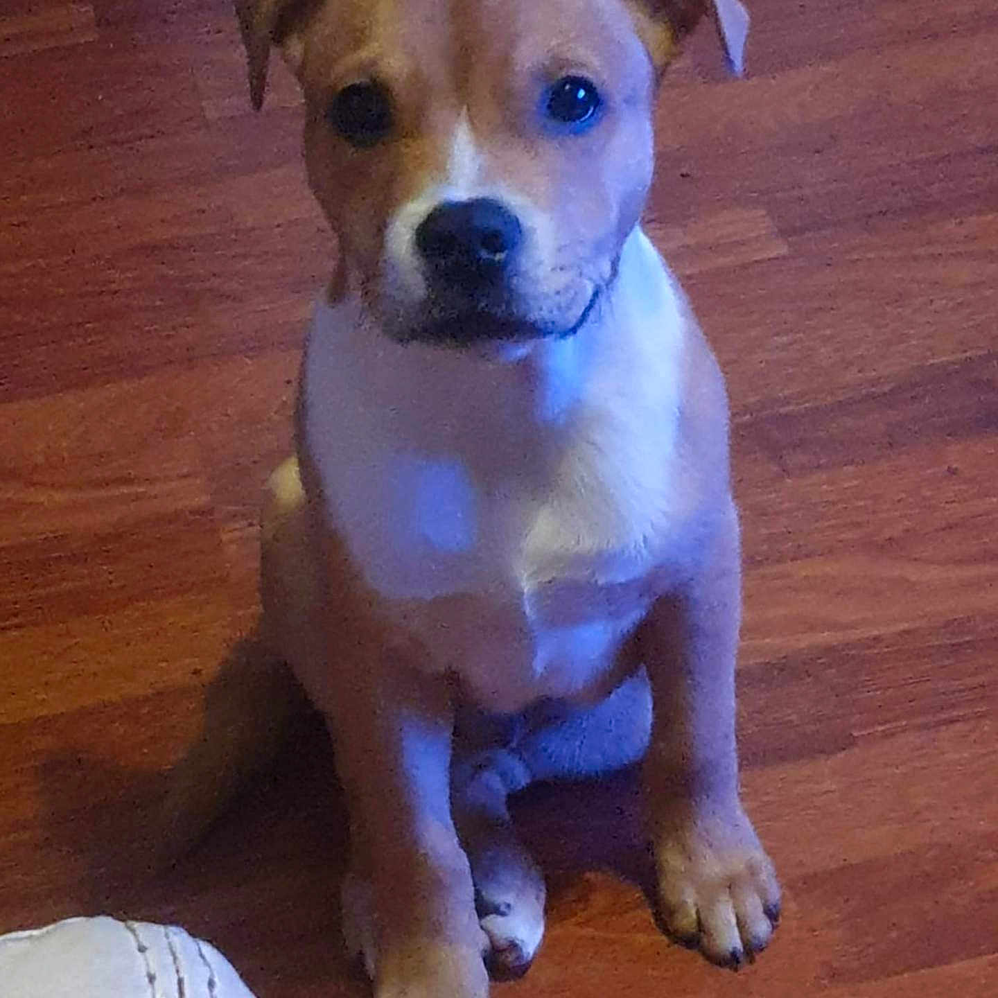 Tyson