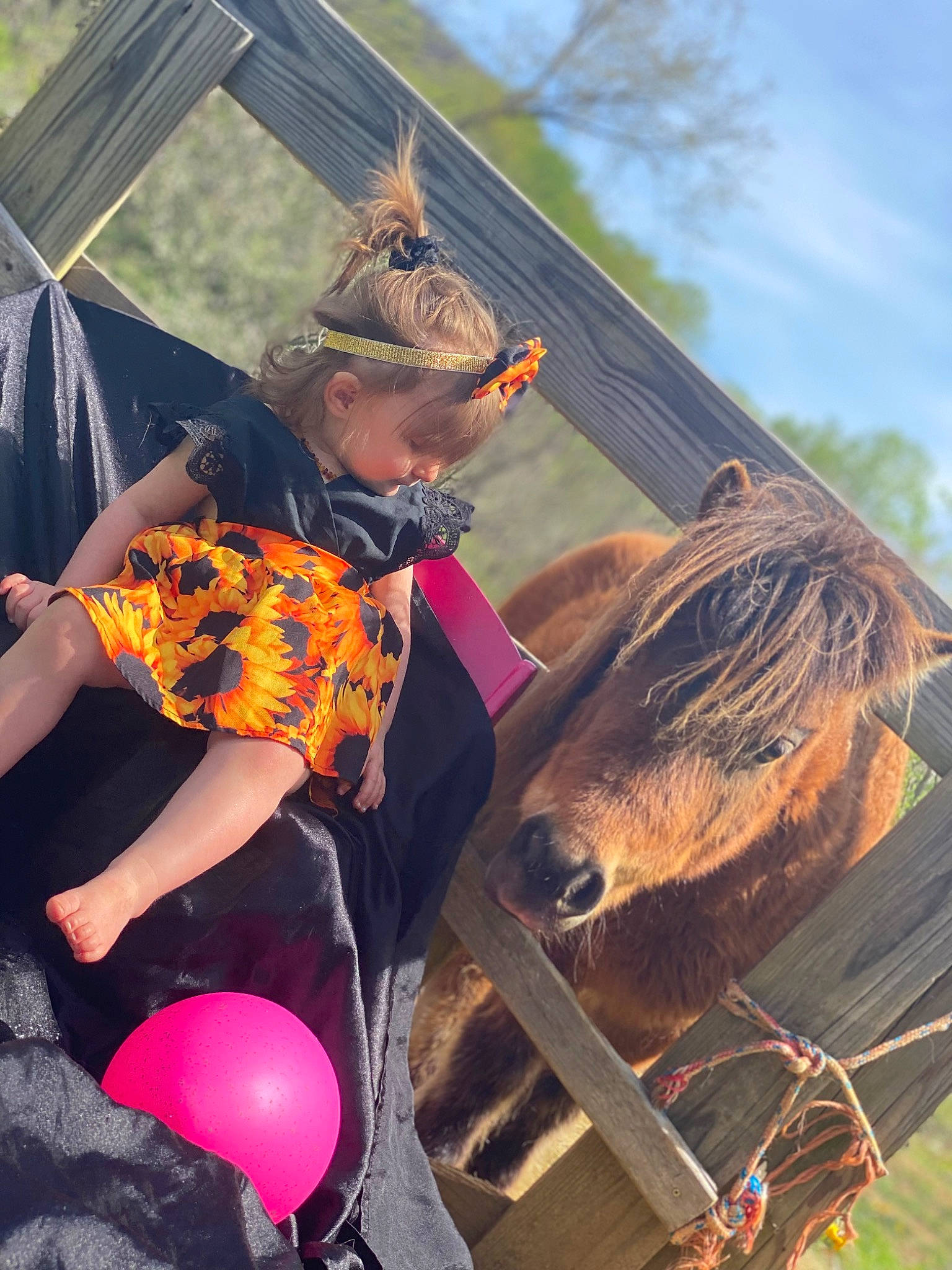 Rylee is registered to the contest to win money with this photo: balloon, bridle, cool, fawn, fun, grass, happy, hat, horse, horse_supplies, horse_tack, landscape, leisure, livestock, pack_animal, person, plant, recreation, rein, tree