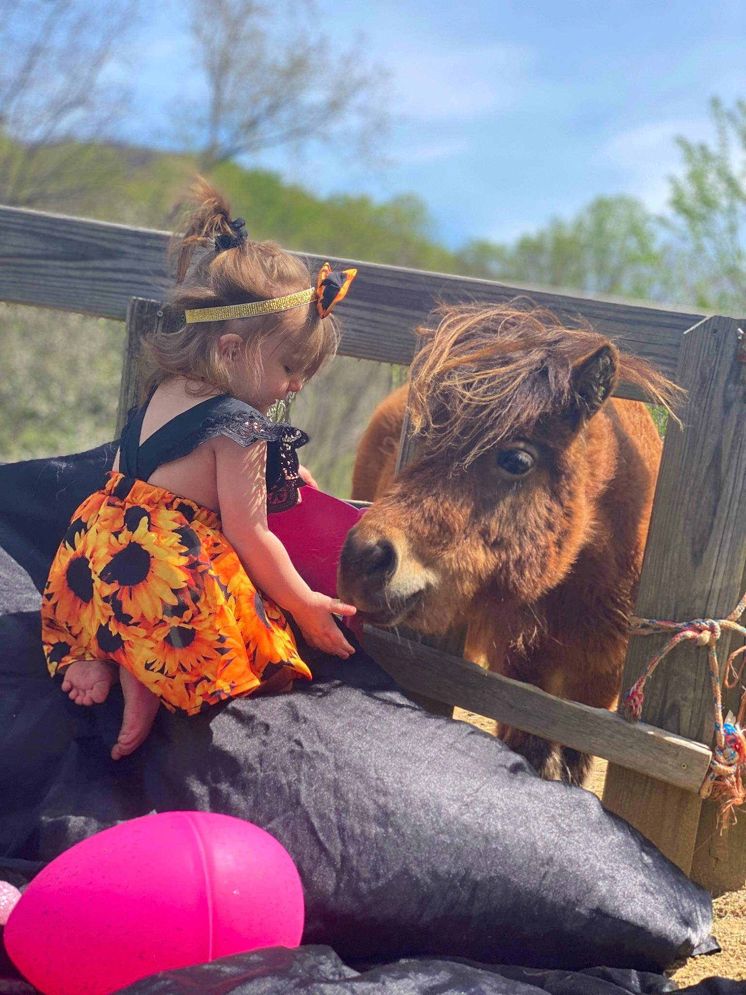 Rylee joined the competition — help win amazing prizes! camelid, event, fawn, fun, grass, hat, human_body, landscape, leisure, livestock, pack_animal, person, recreation, rein, sky, snout, sun_hat, sunglasses, terrestrial_animal, tree