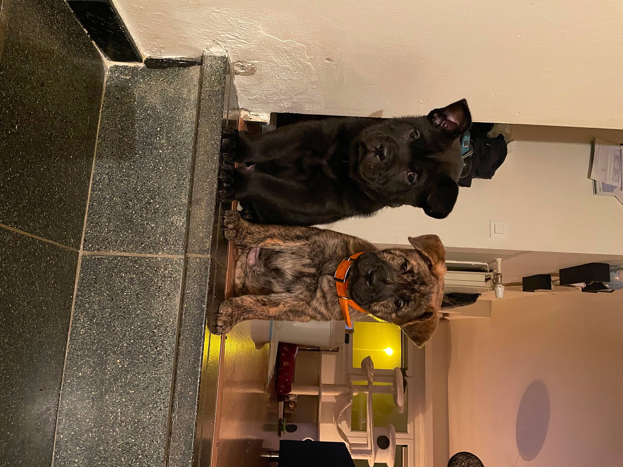 Ayron a rejoint le concours — aidez-le/la à gagner de superbes lots ! art, artifact, bronze, bronze_sculpture, machine, metal, monument, museum, room, sculpture, space, statue, tourist_attraction, visual_arts, wood