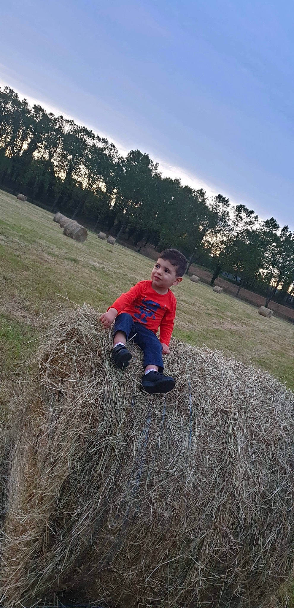 Louay a rejoint le concours — aidez-le/la à gagner de superbes lots ! child, fun, grass, grass_family, grassland, hay, hill, landscape, mountain, person, photography, plant, play, recreation, rock, sky, soil, toddler, tree
